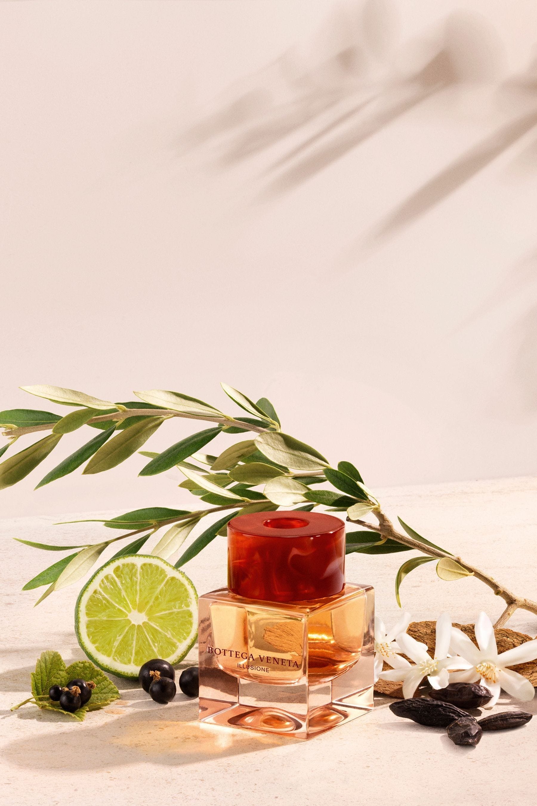 Bottega veneta illusione perfume hot sale