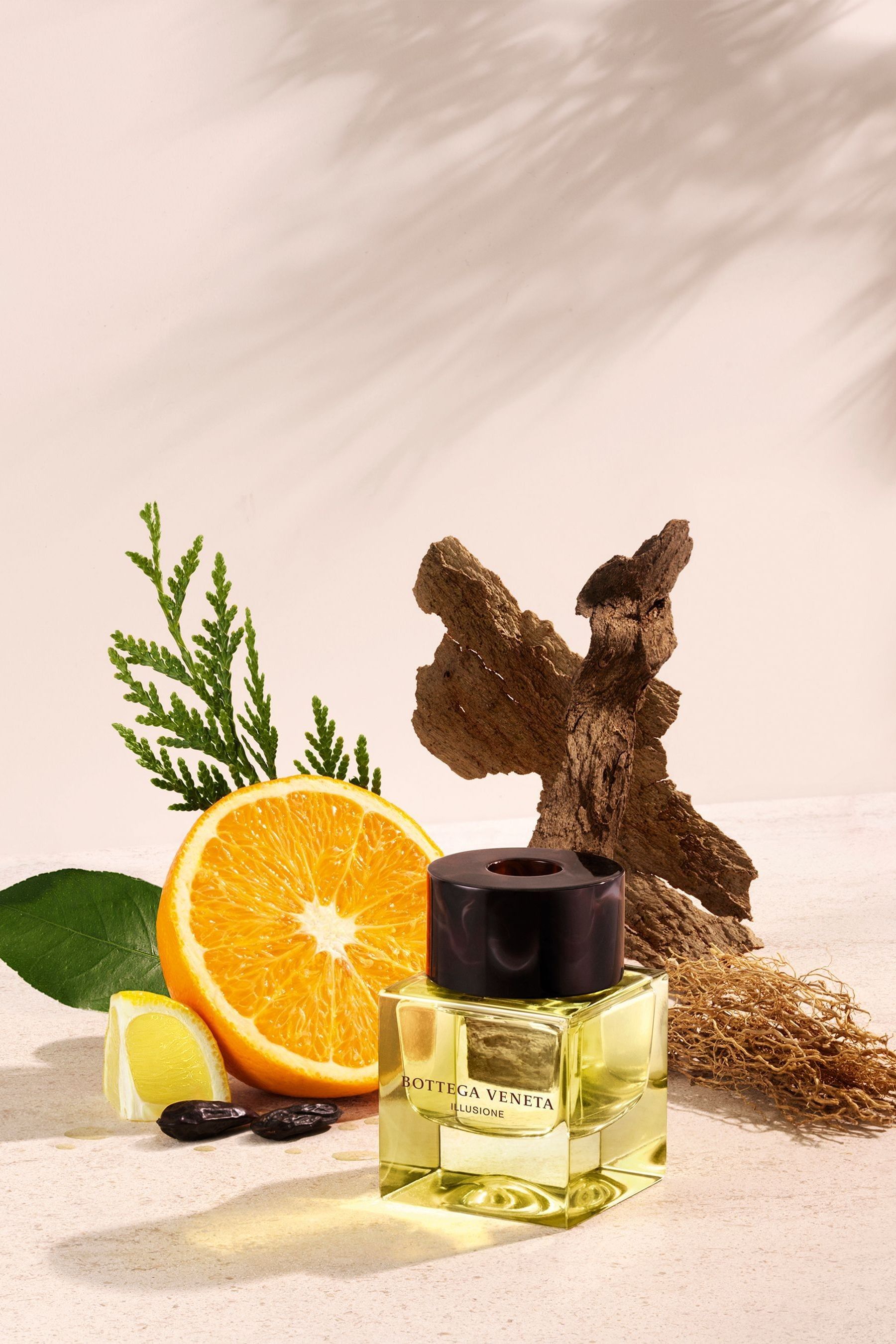 Bottega veneta illusione top 50ml