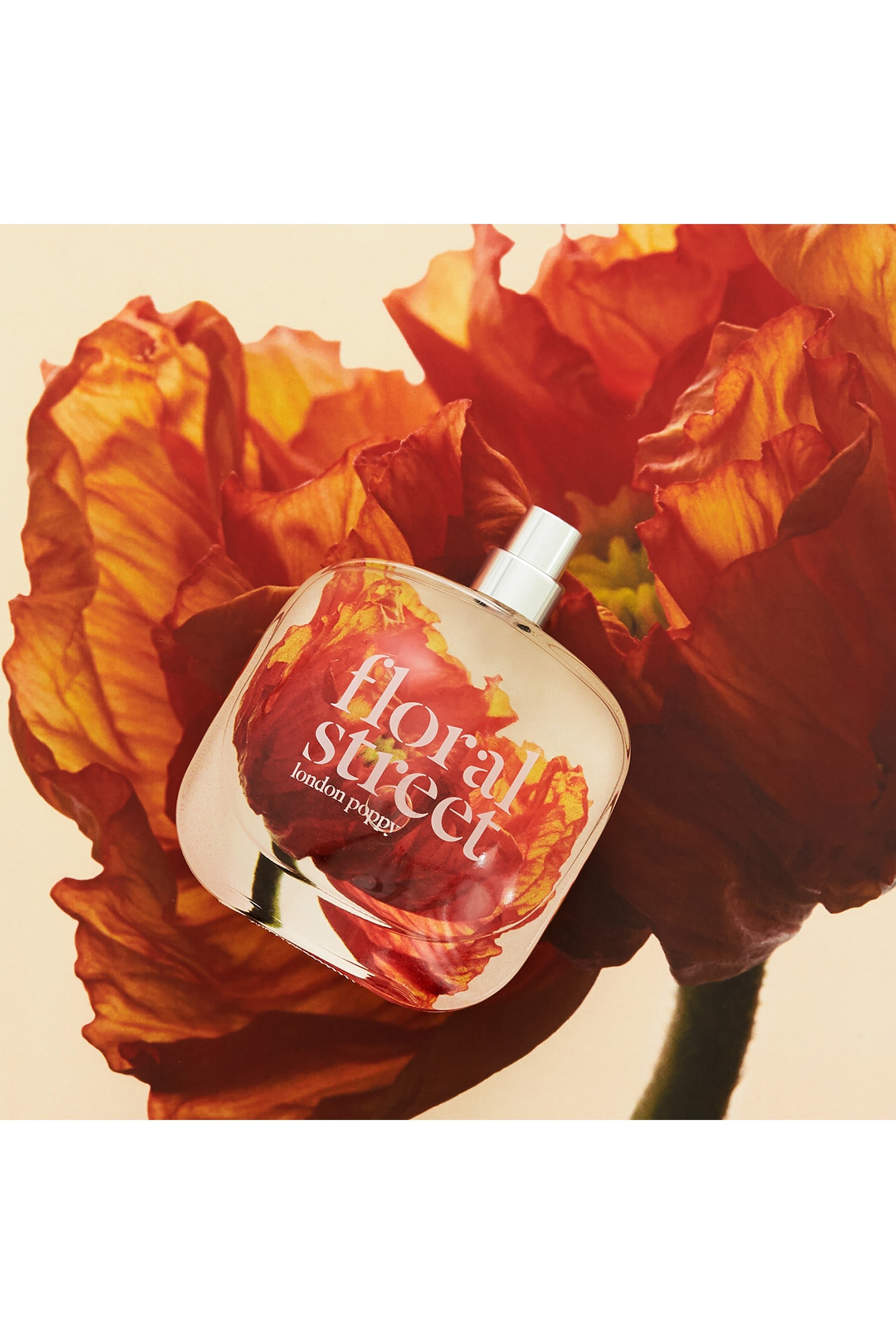 London poppy floral street on sale