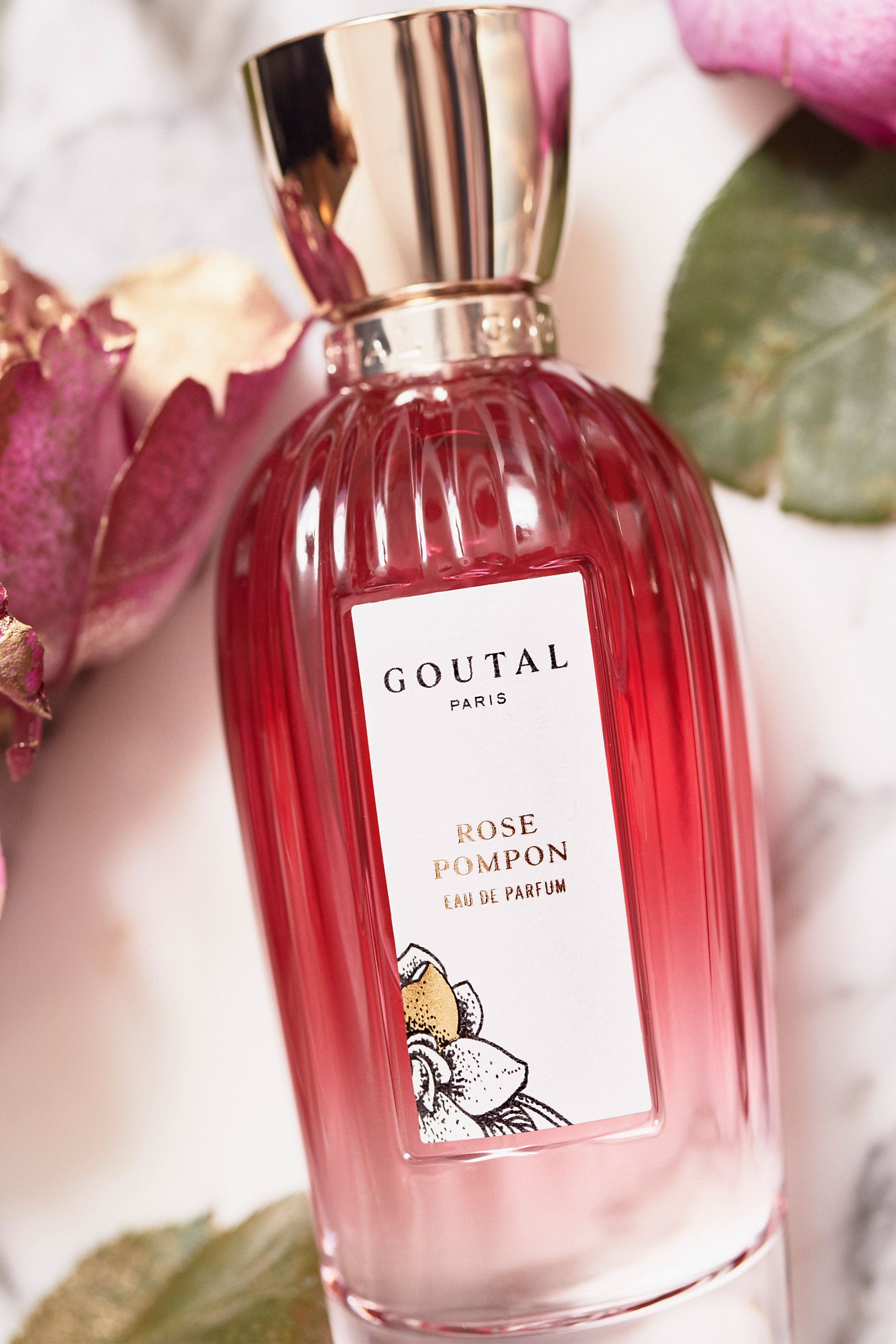 Buy Goutal Rose Pompon Eau De Parfum 100ml from the Next UK online