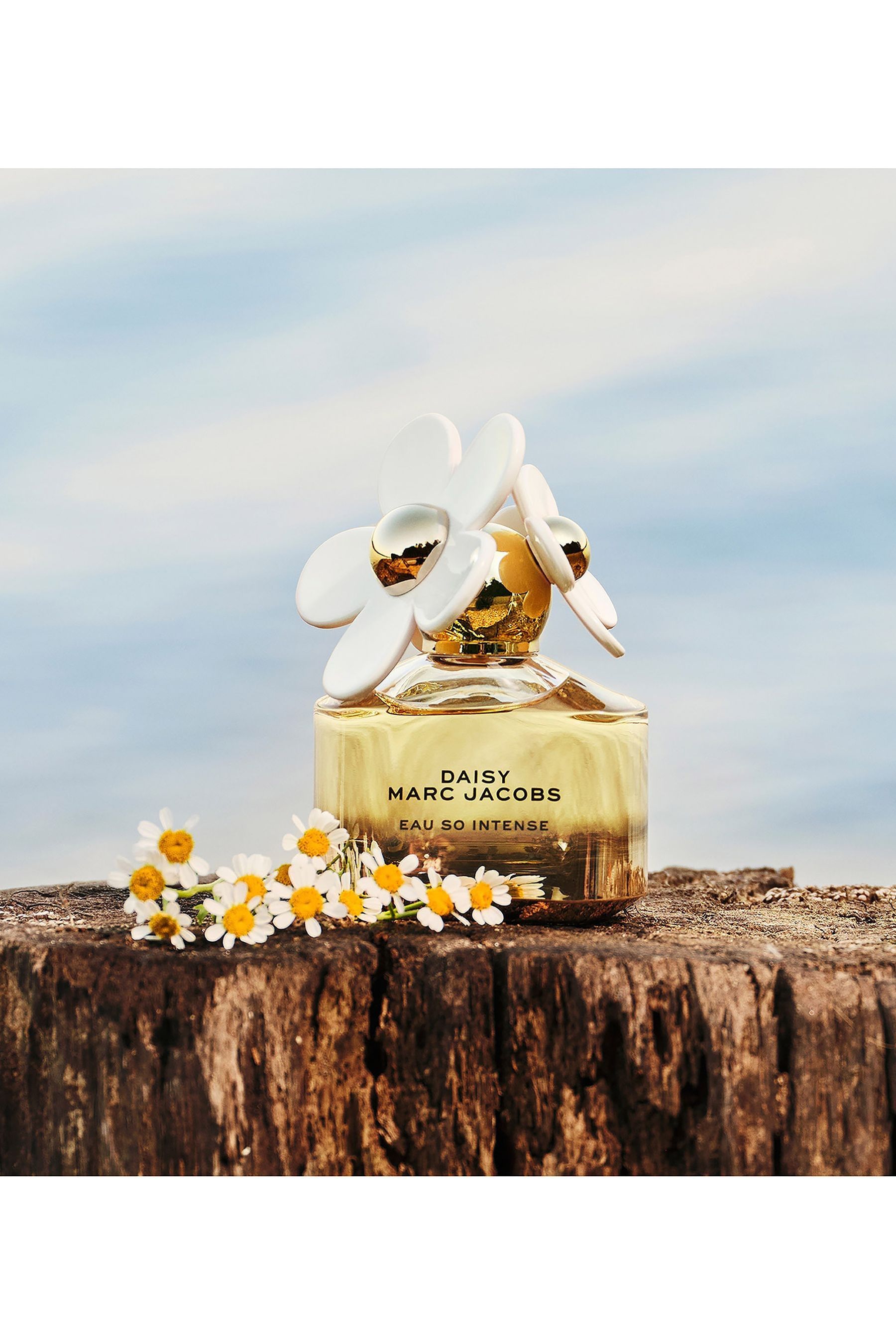 Next clearance daisy perfume