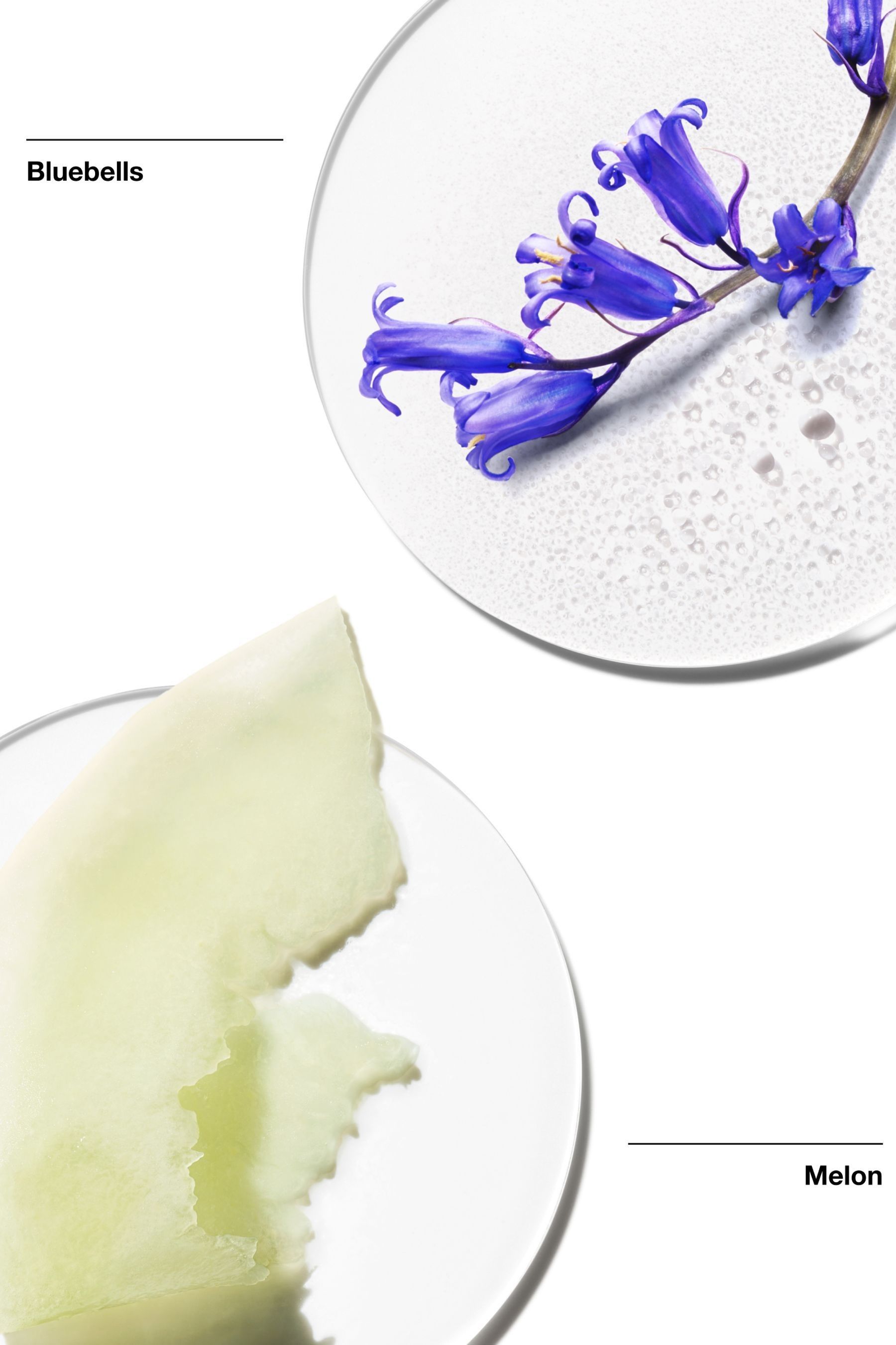 Clinique my best sale happy indigo mist