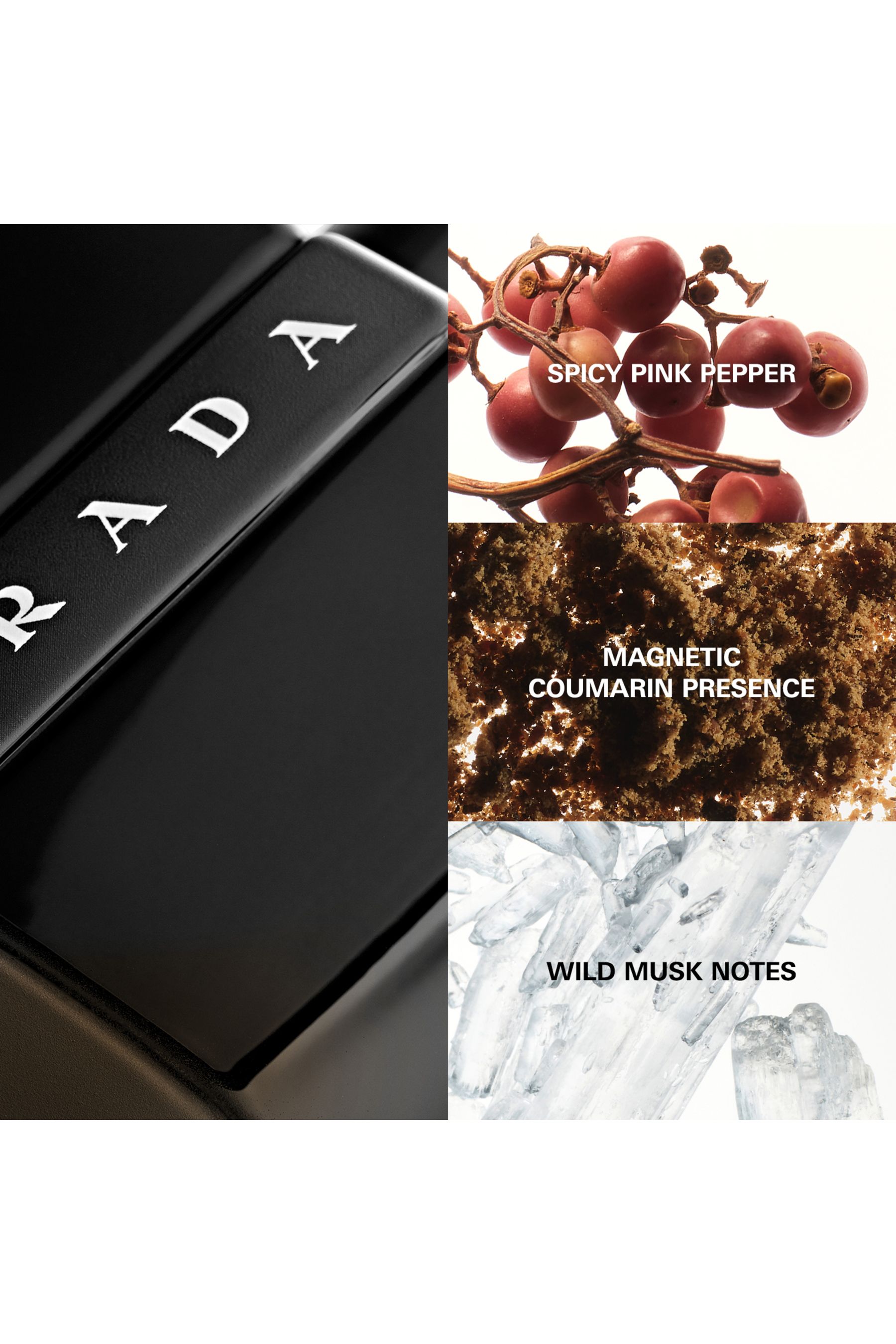 Prada luna rossa black notes sales