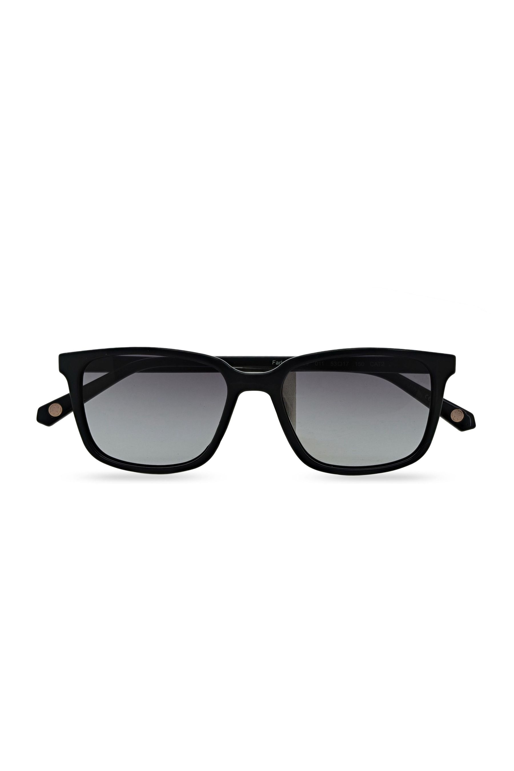 Buy Ted Baker Black Classic Mens Sunglasses with Contrast Temples from the Next UK online shop