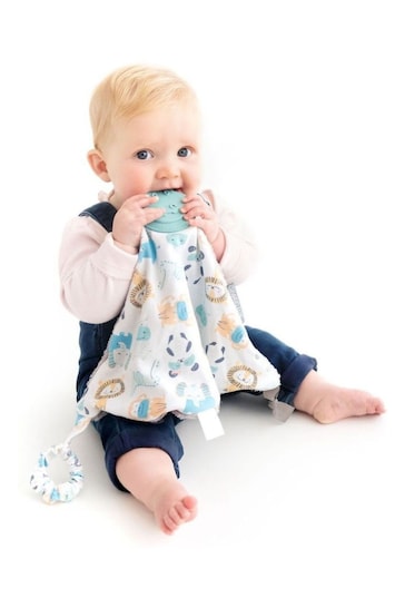 Cheeky Chompers Comfort And Chew Baby Gift Bundle