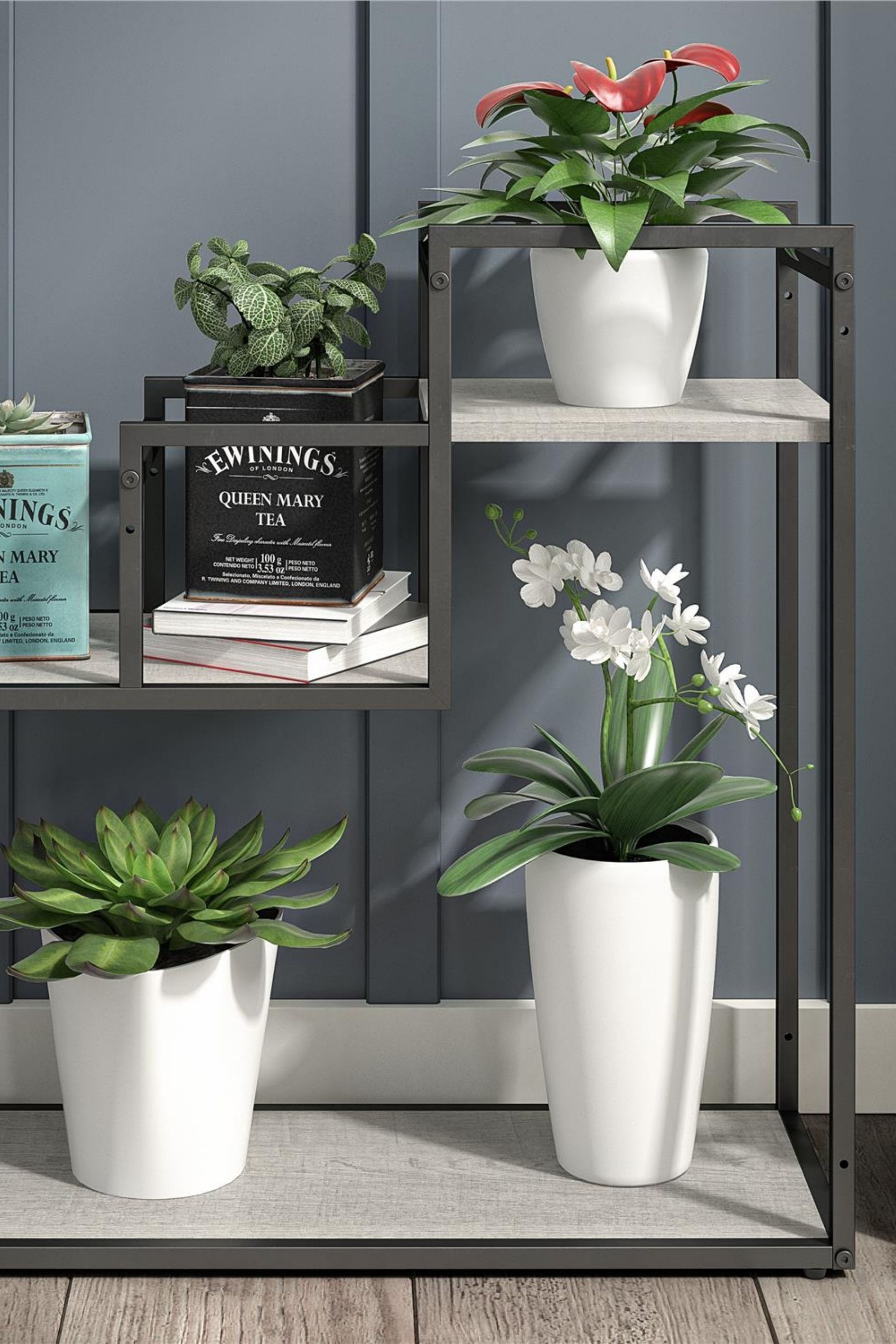 Next plant deals stand