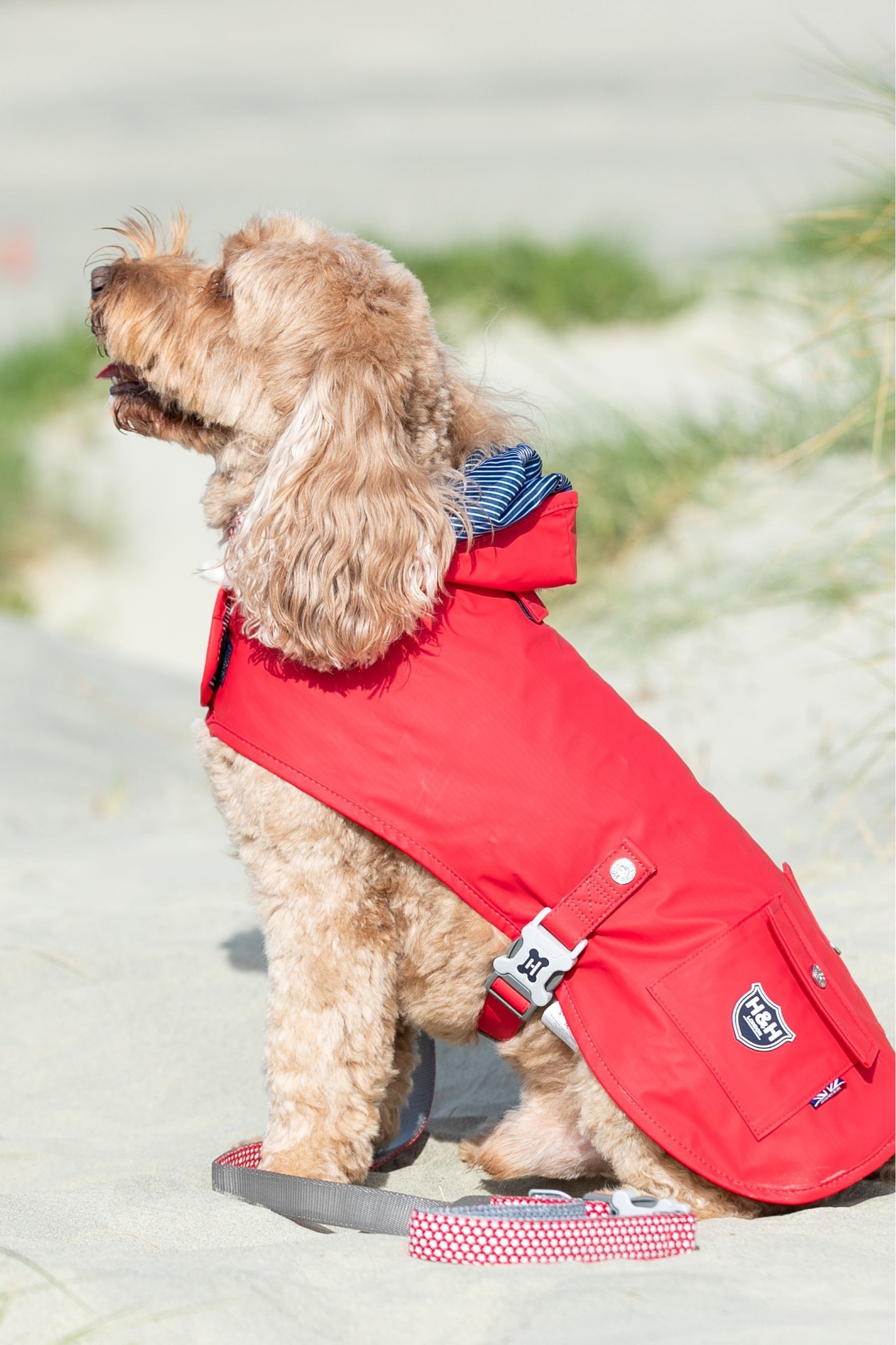 Hugo Hudson Red Dog Raincoat