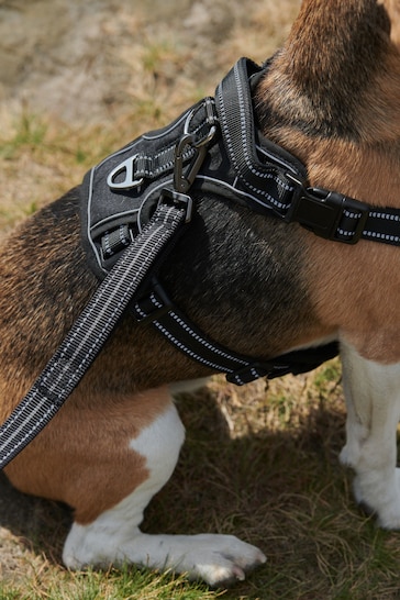 Black Active Dog Harness