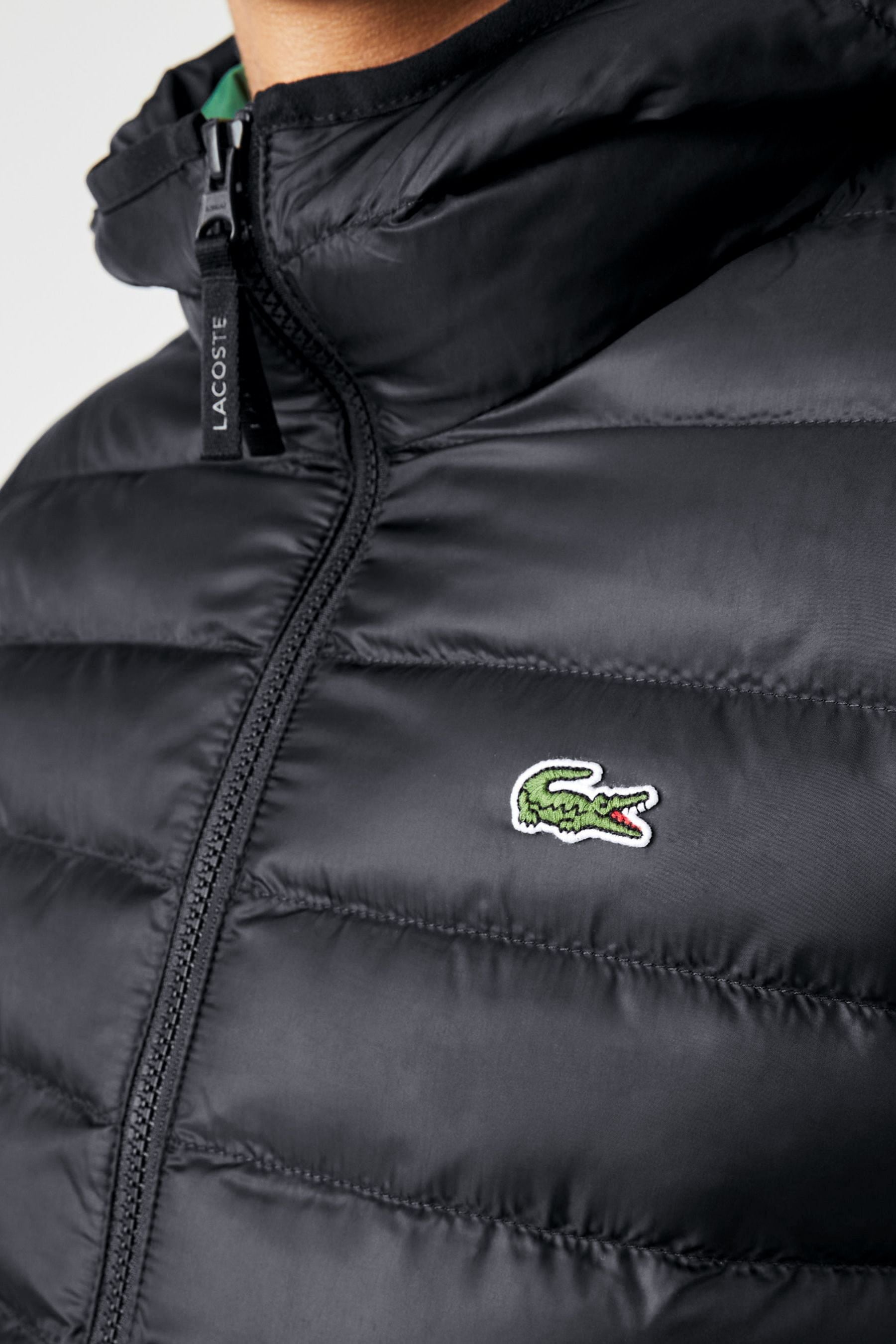 Lacoste clearance down coat