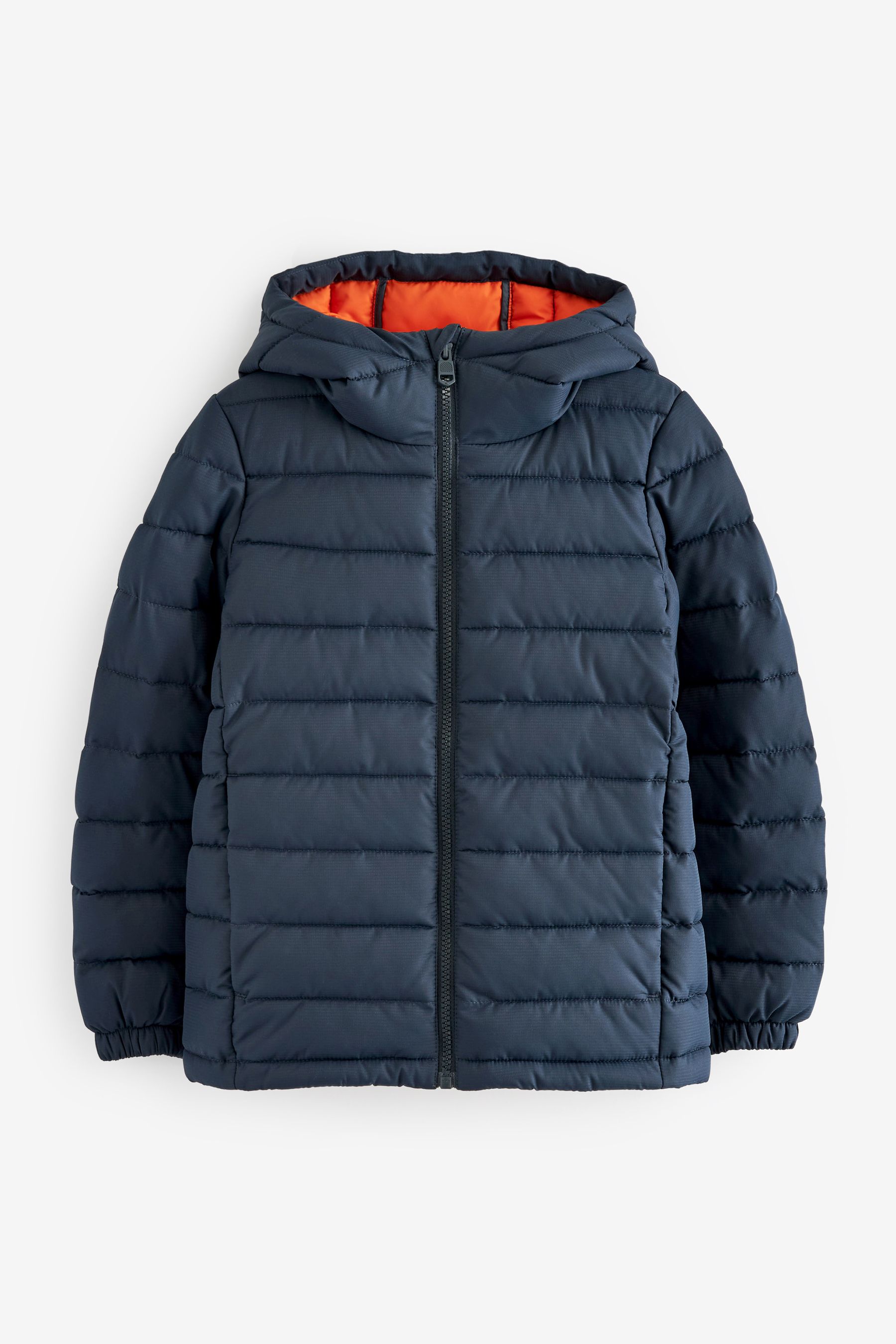 Buy Navy Blue Quilted Midweight Hooded Jacket (3-17yrs) from the Next ...