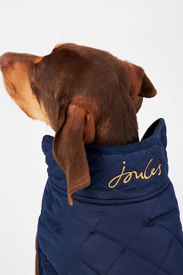 Joules Blue Quilted Dog Coat
