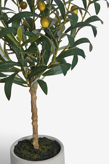 Green Small Artificial Olive Tree In Concrete Pot