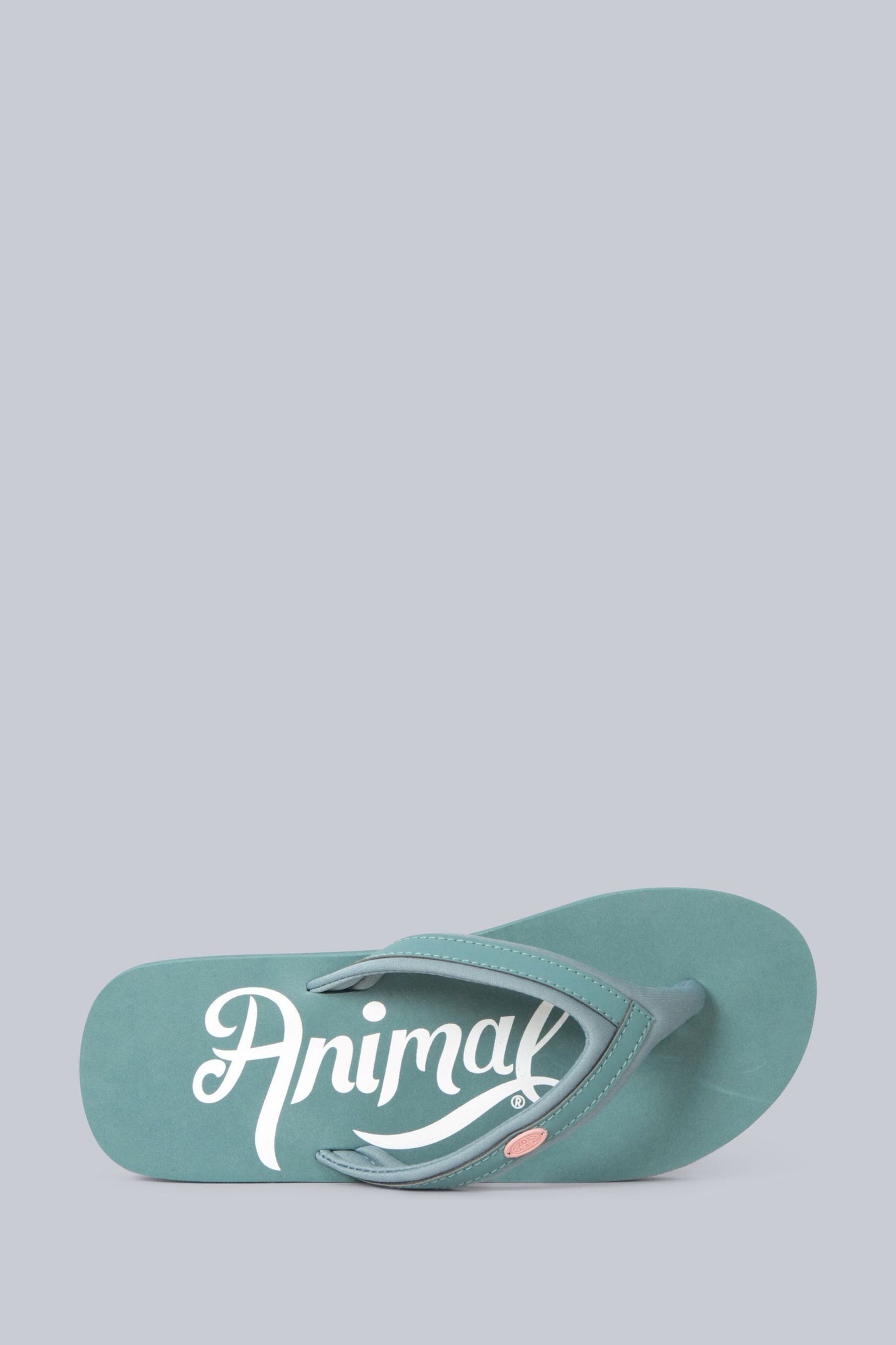 Animal swish best sale slim flip flops