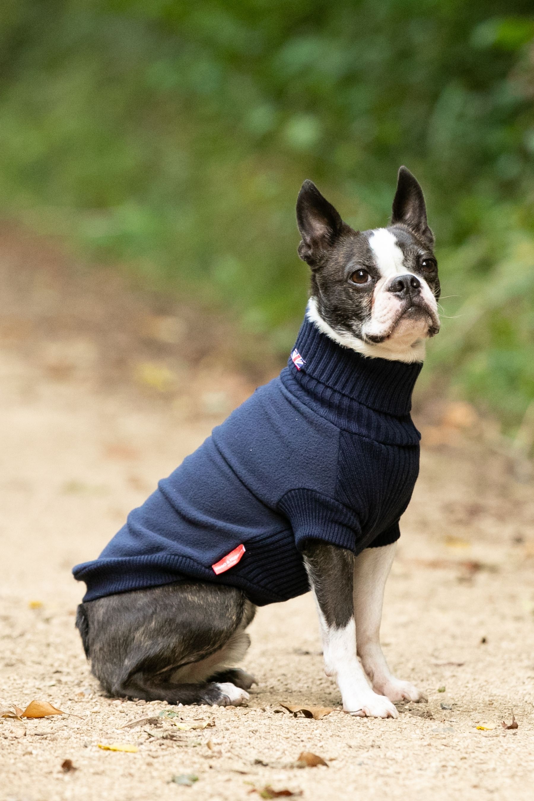 Knitted dog clearance jumpers uk