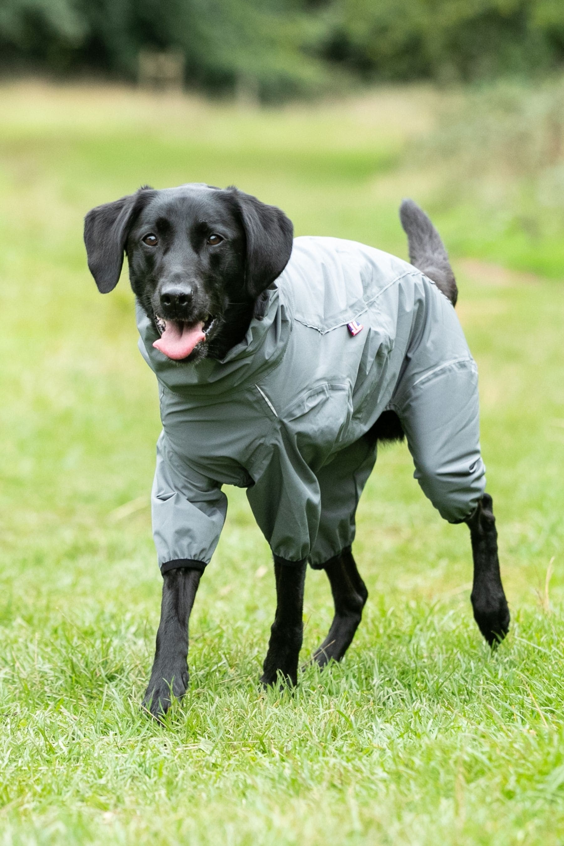 Dog overalls waterproof sale