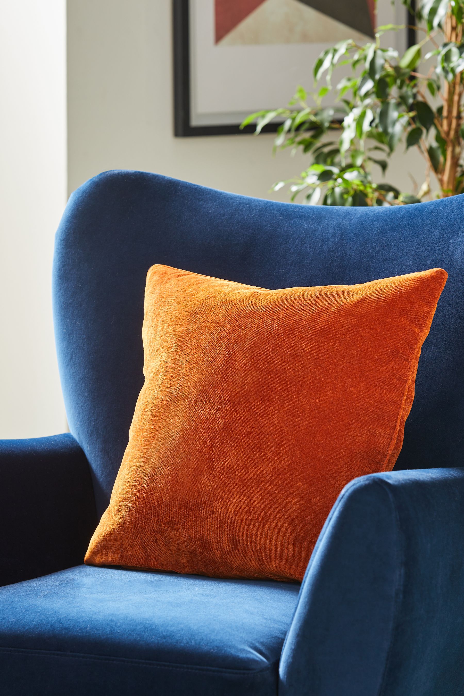 Buy Burnt Orange 45 x 45cm Soft Velour Cushion from the Next UK