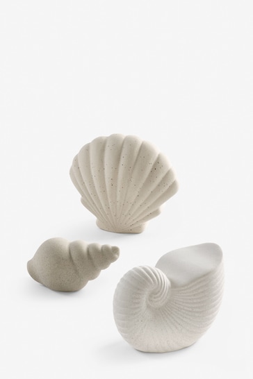 Set of 3 Natural Shell Ornaments