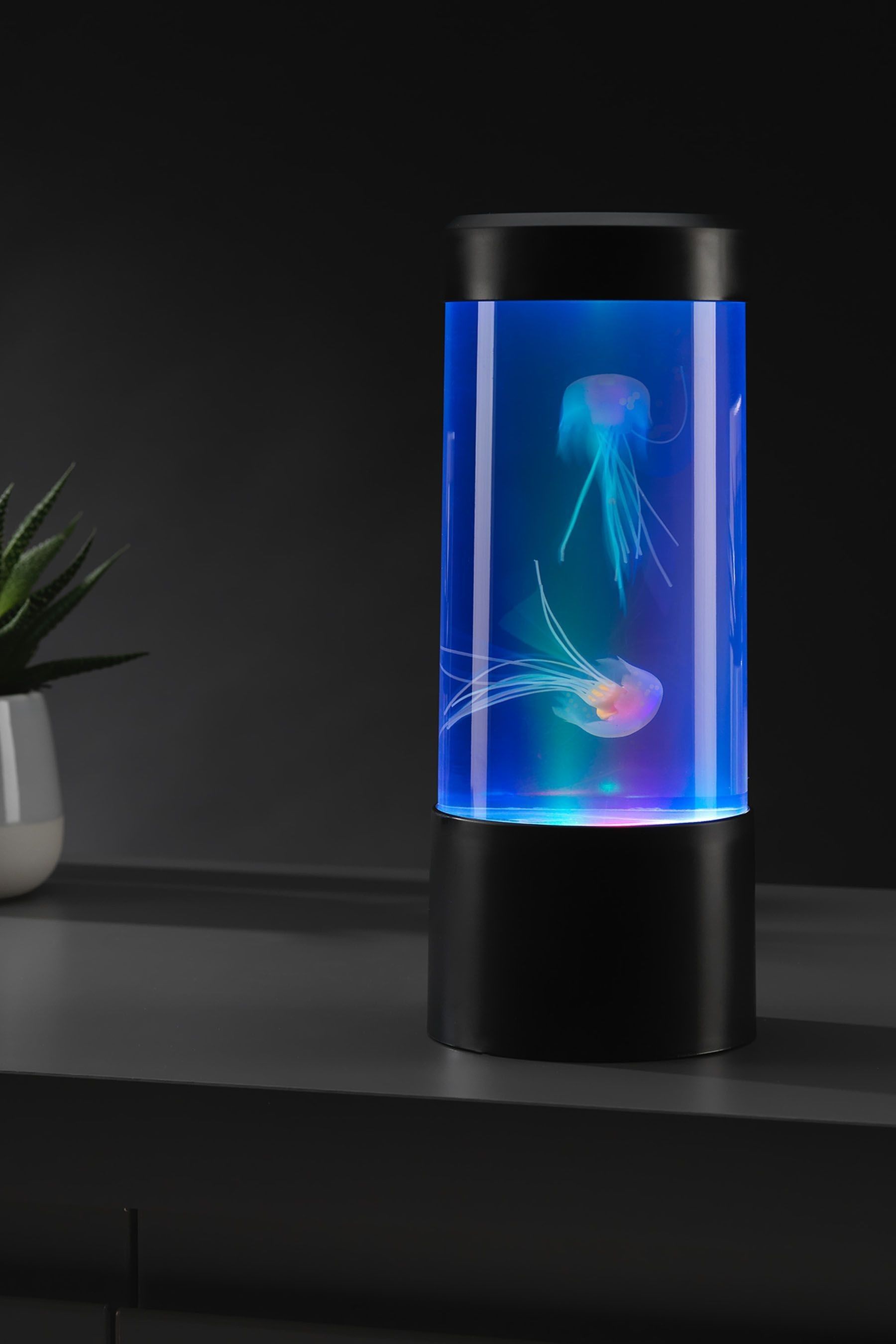 Buy MenKind Mini Jellyfish Tank from the Next UK online shop