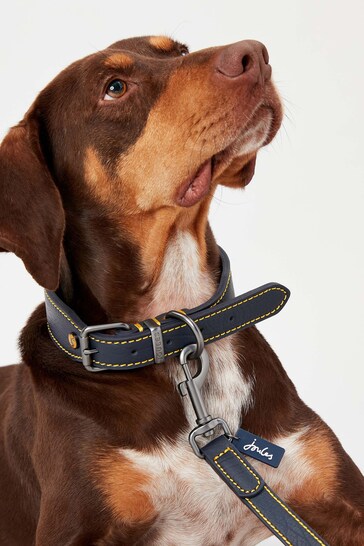 Joules Blue Adjustable Leather Dog Collar