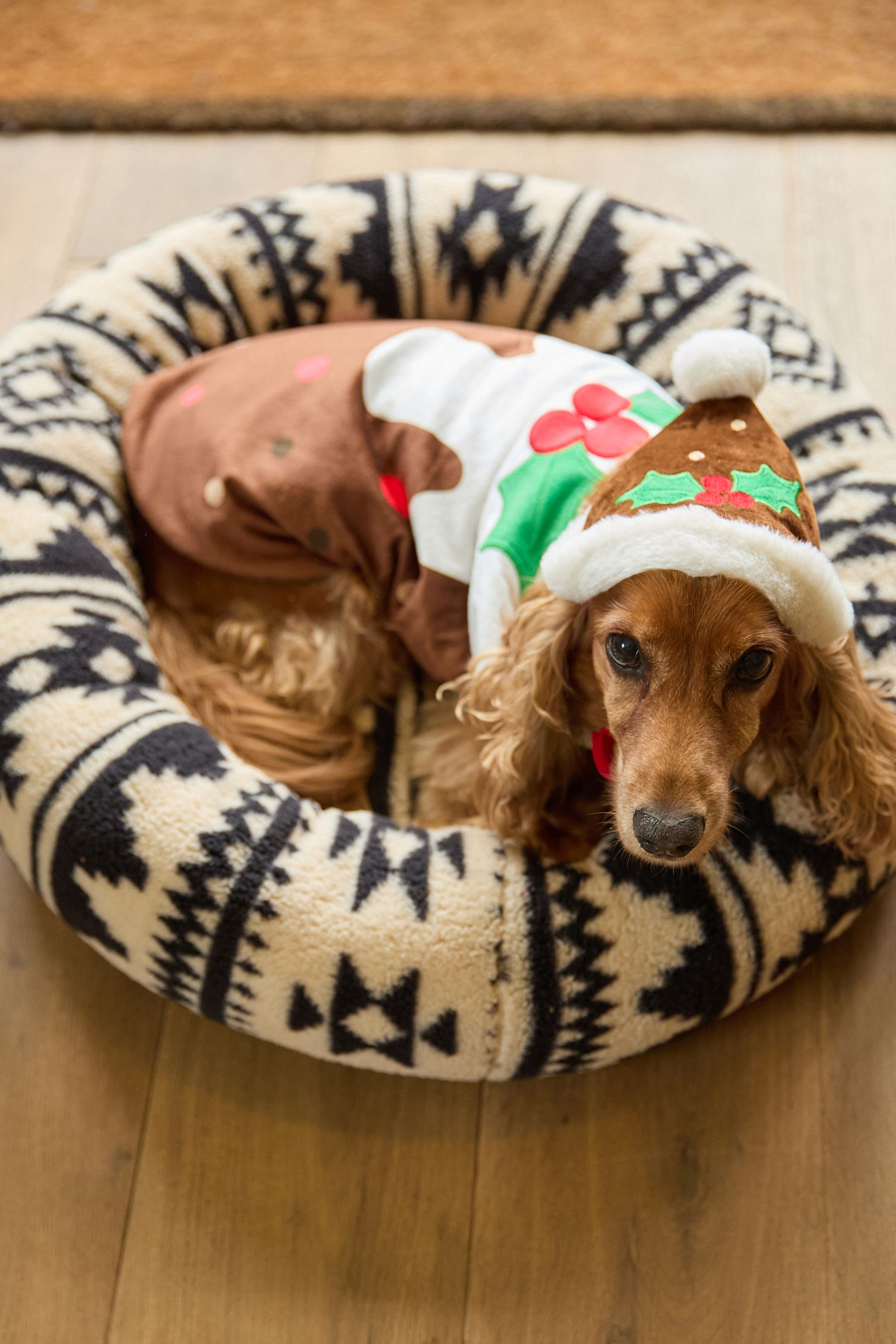 Buy Brown Cream Christmas Pudding Dog Fancy Dress from the Next UK