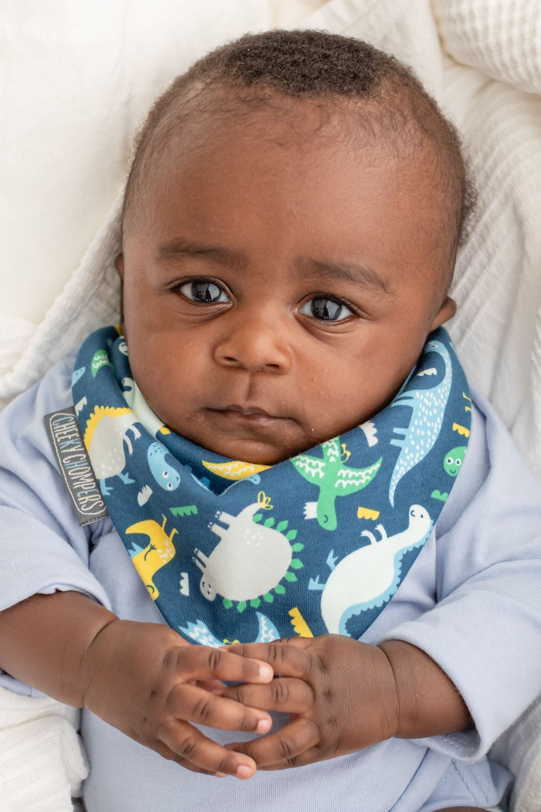 Dribble baby deals bibs