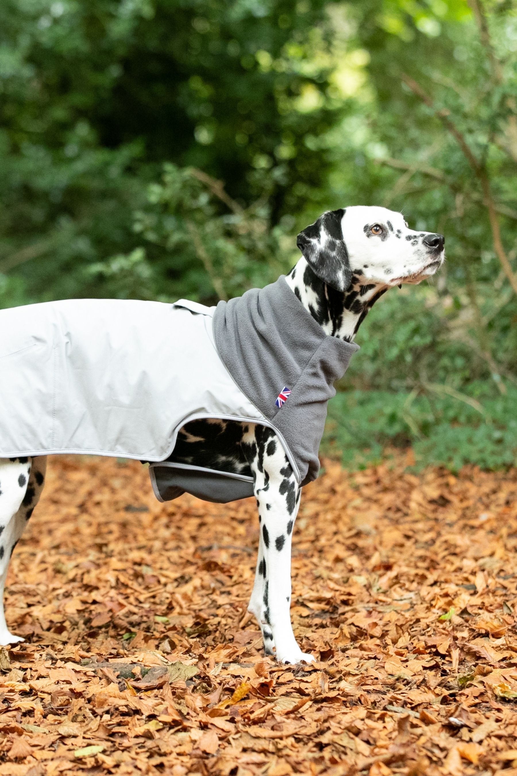 Dog thermal jacket clearance