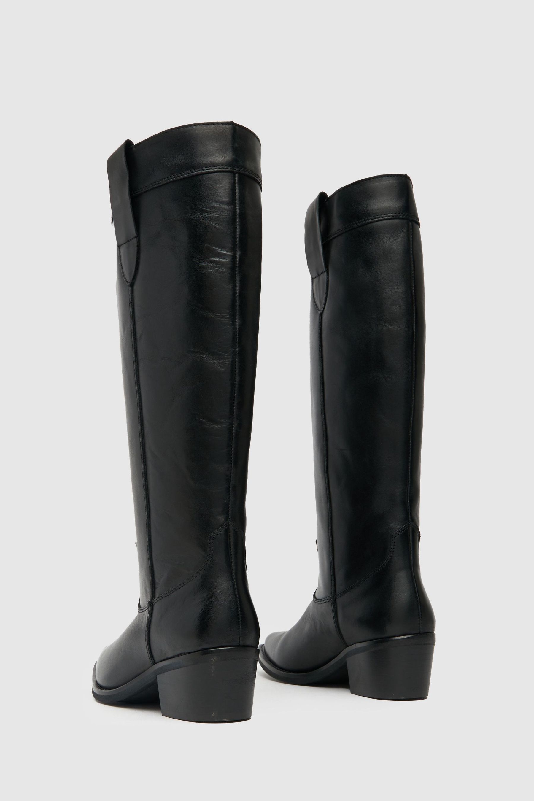 Dawnn discount western boots