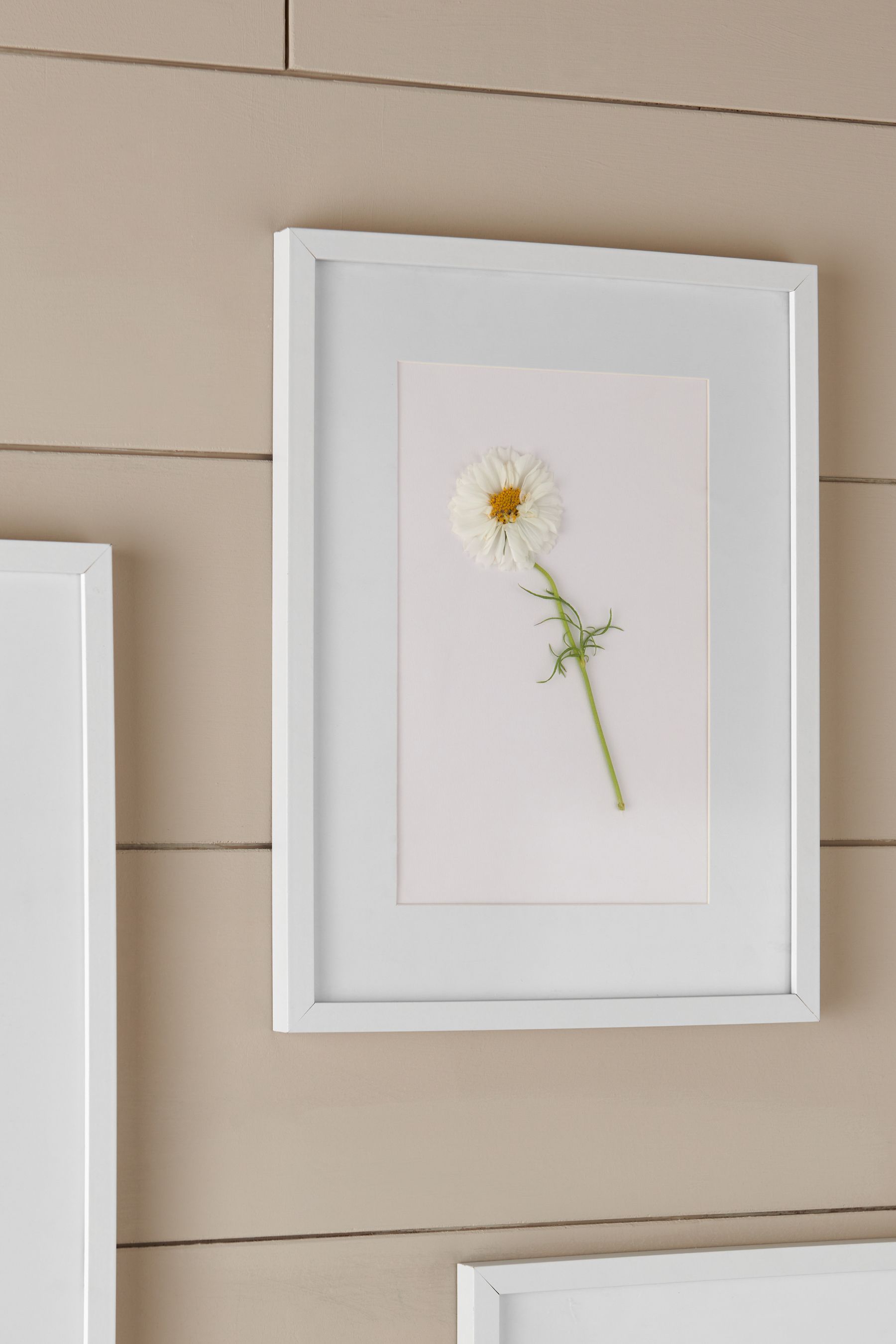 Large white picture deals frame
