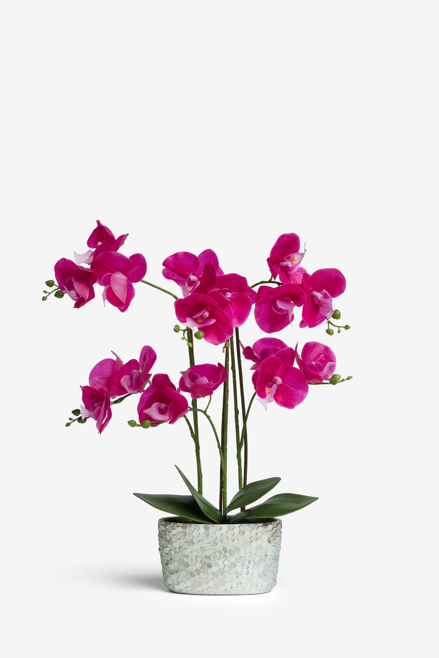 Artificial orchid sales in pot