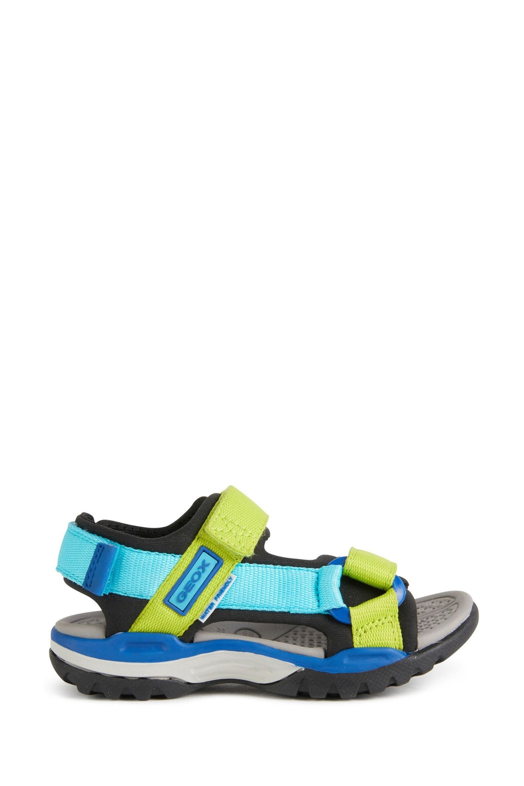 Geox best sale borealis sandals