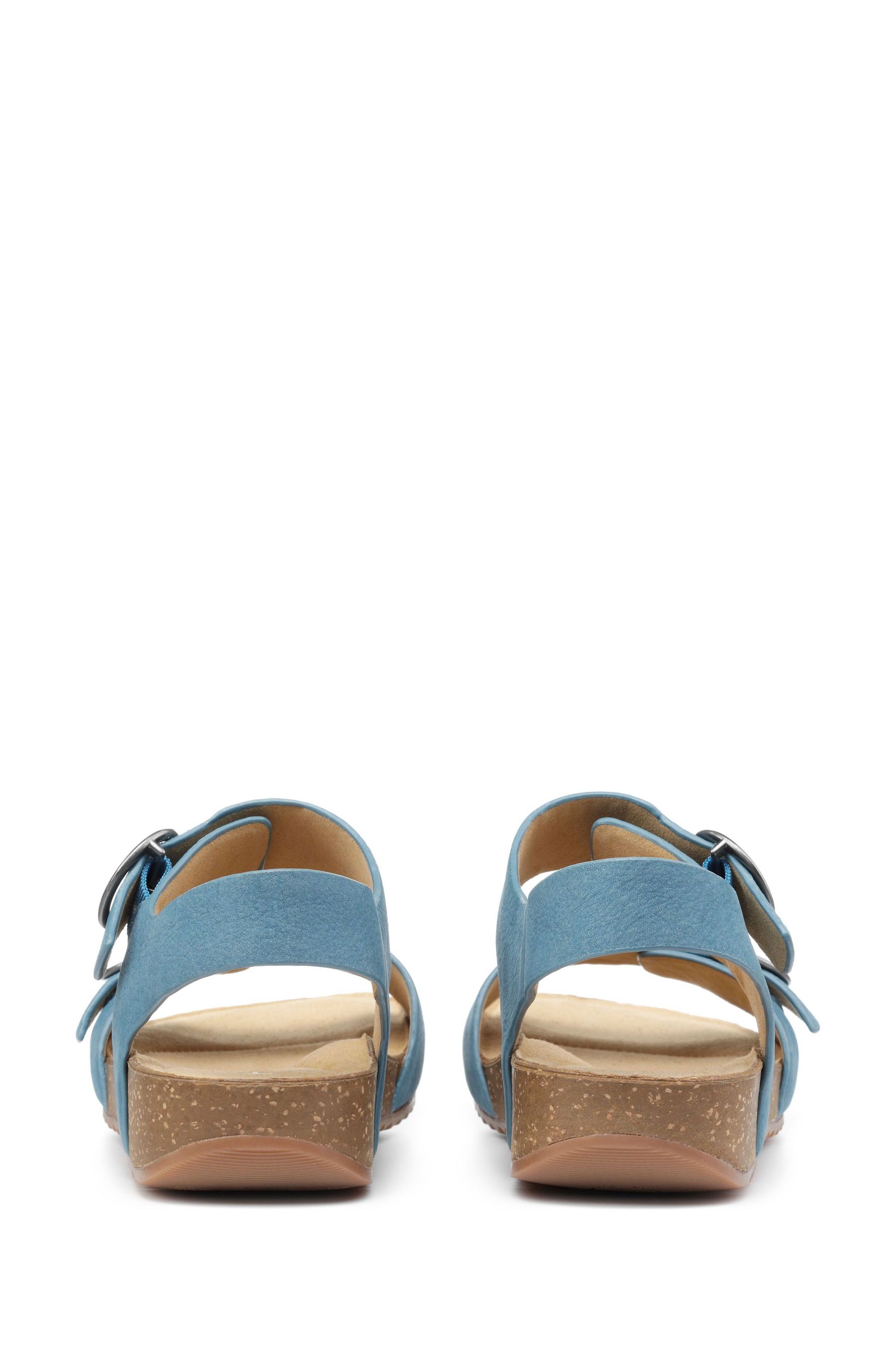 Hotter tourist best sale sandals blue