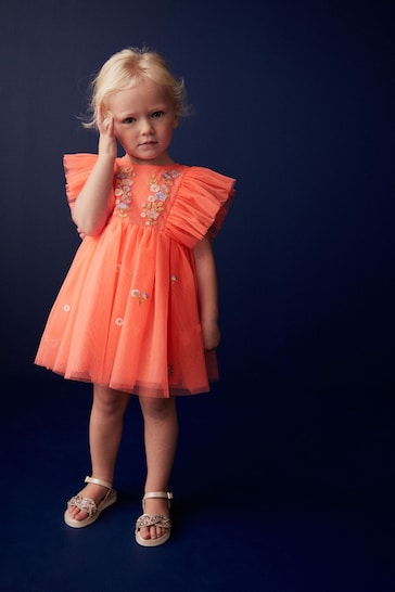 Coral Pink Embroidered Mesh Party Dress (3mths-10yrs)