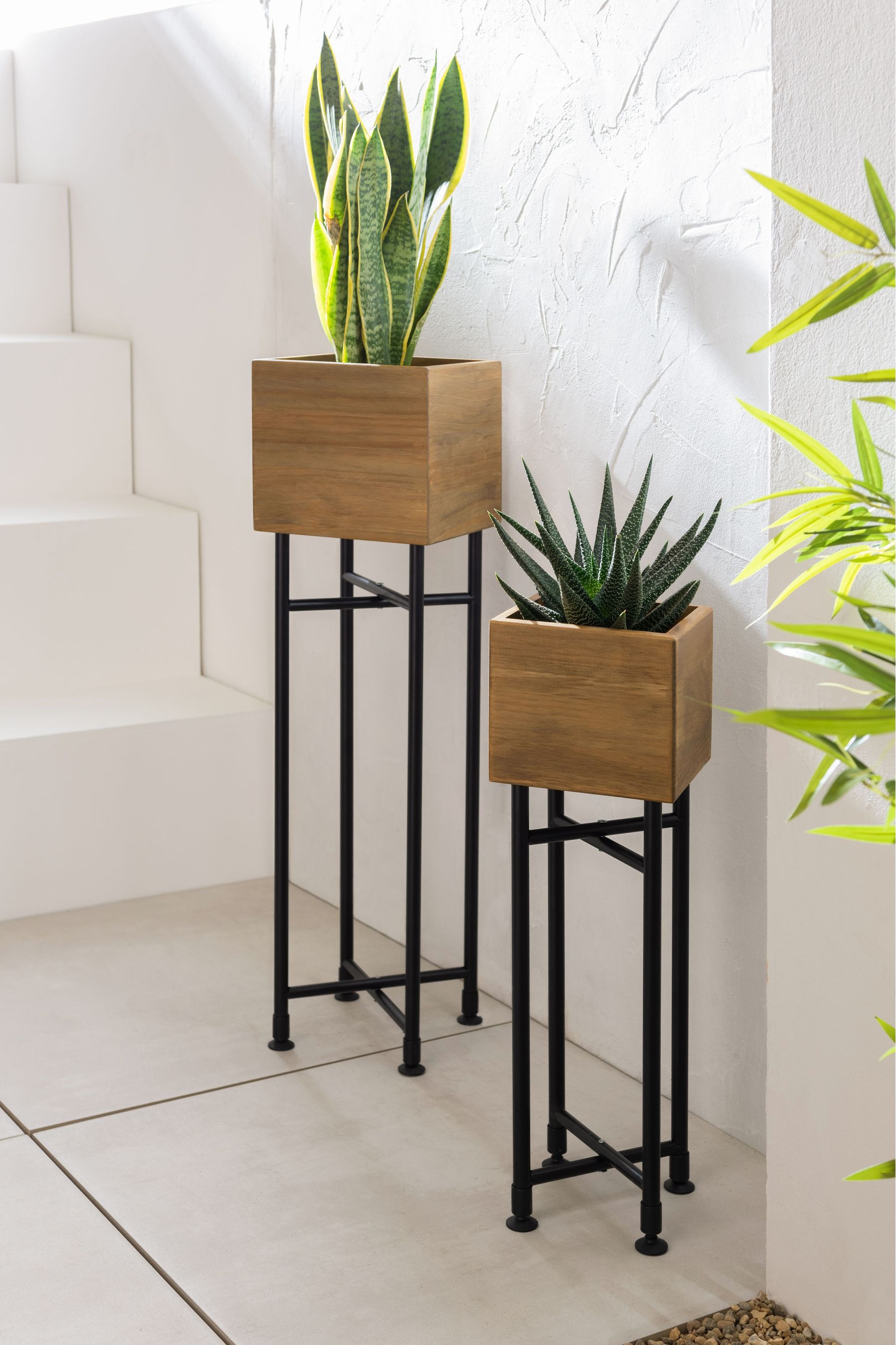 Next plant pots new arrivals