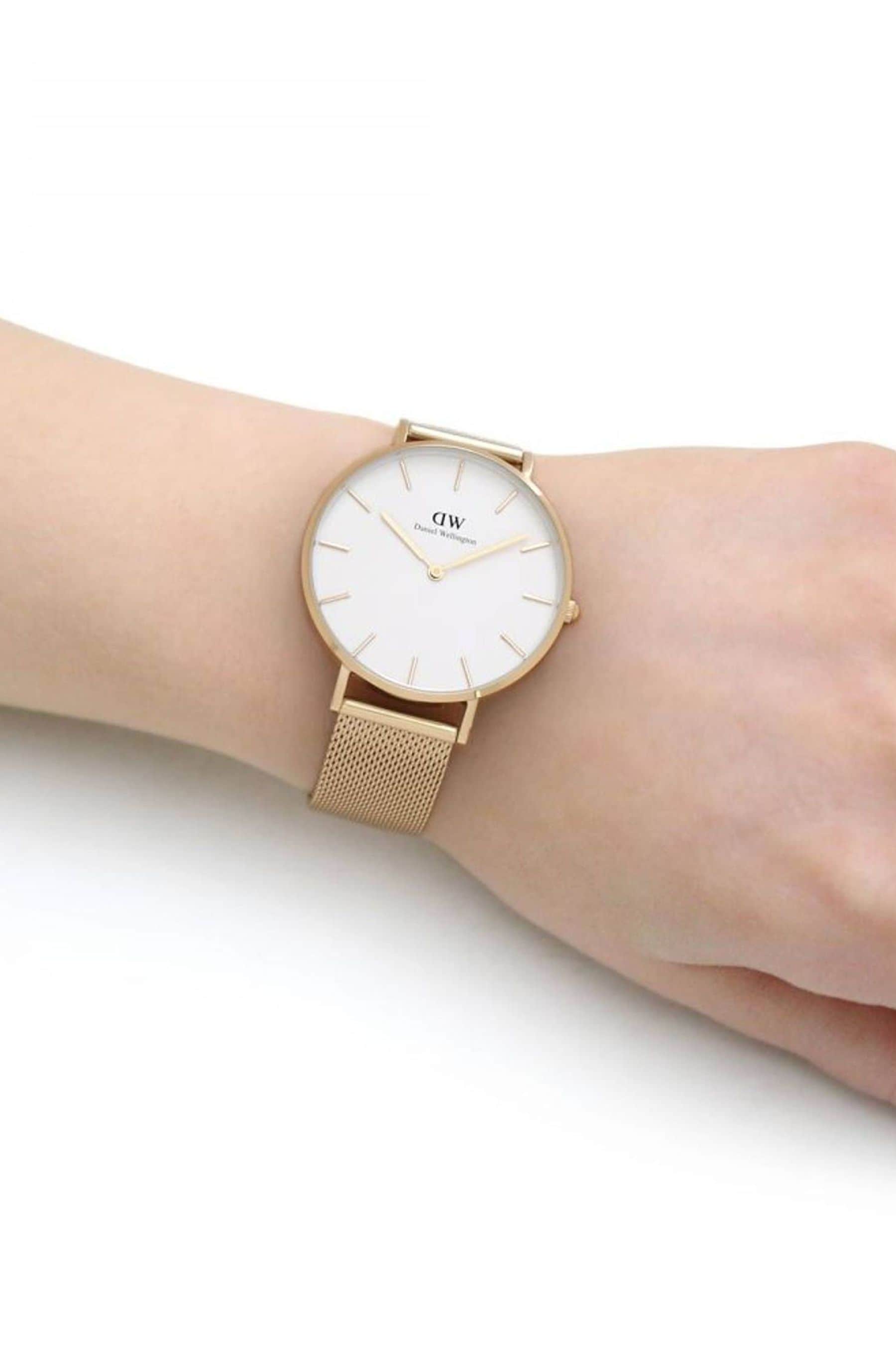 Petite evergold 36 deals