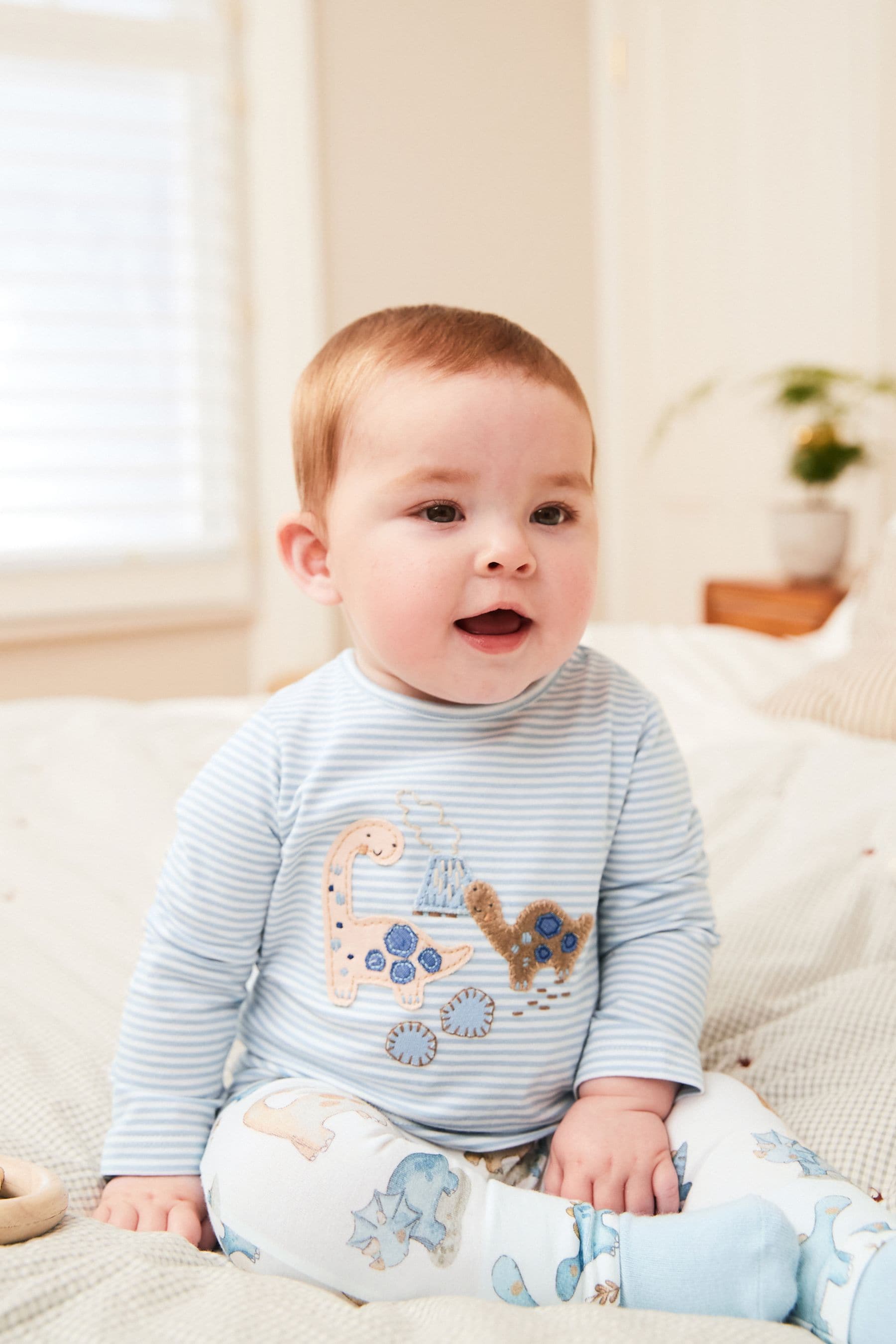 Blue Dinosaur Baby T Shirt And Leggings 2 Piece Set