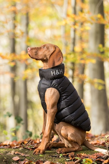 Black Hugo & Hudson Reversible Padded Dog Coat
