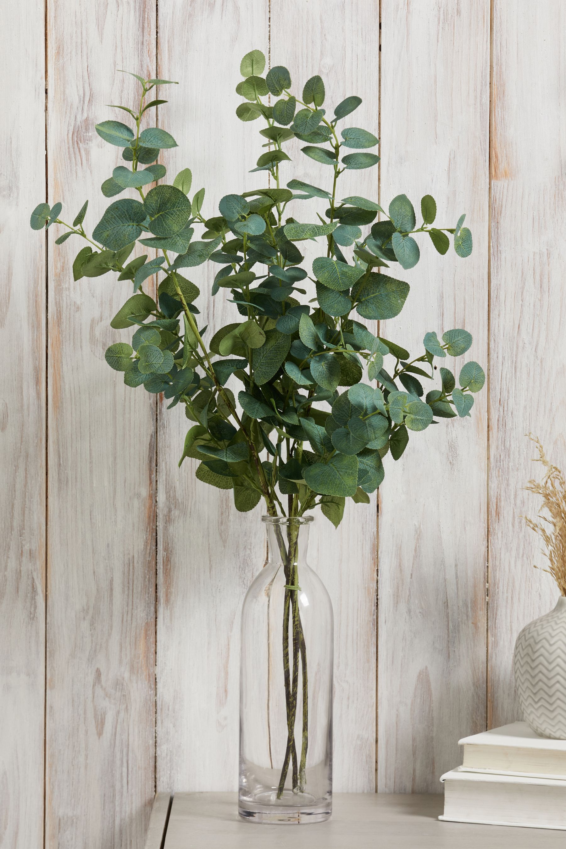 Eucalyptus fake cheap