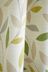 Fusion Green Beechwood Leaves Eyelet Curtains