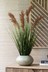 Natural Artificial Pampass Grass Plant In Natural Ceramic Pot