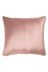 Blush Pink Nigella Cushion
