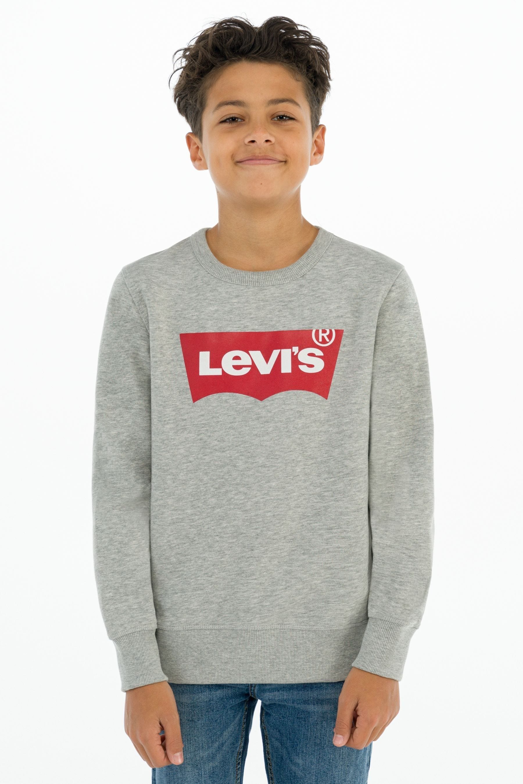 Levi's on sale gray sweatshirt