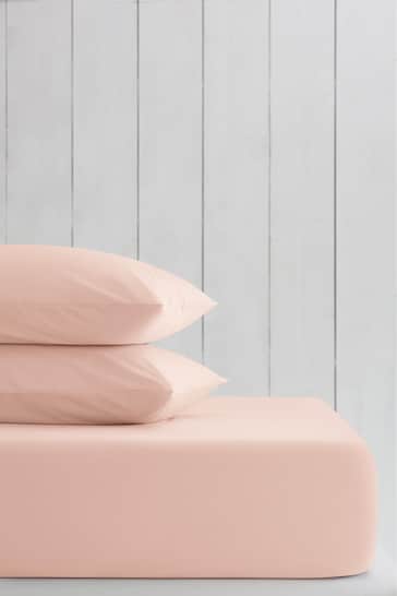 Pink Blush Cotton Rich Fitted Sheet