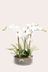 White Artificial Orchid In Glass Pot