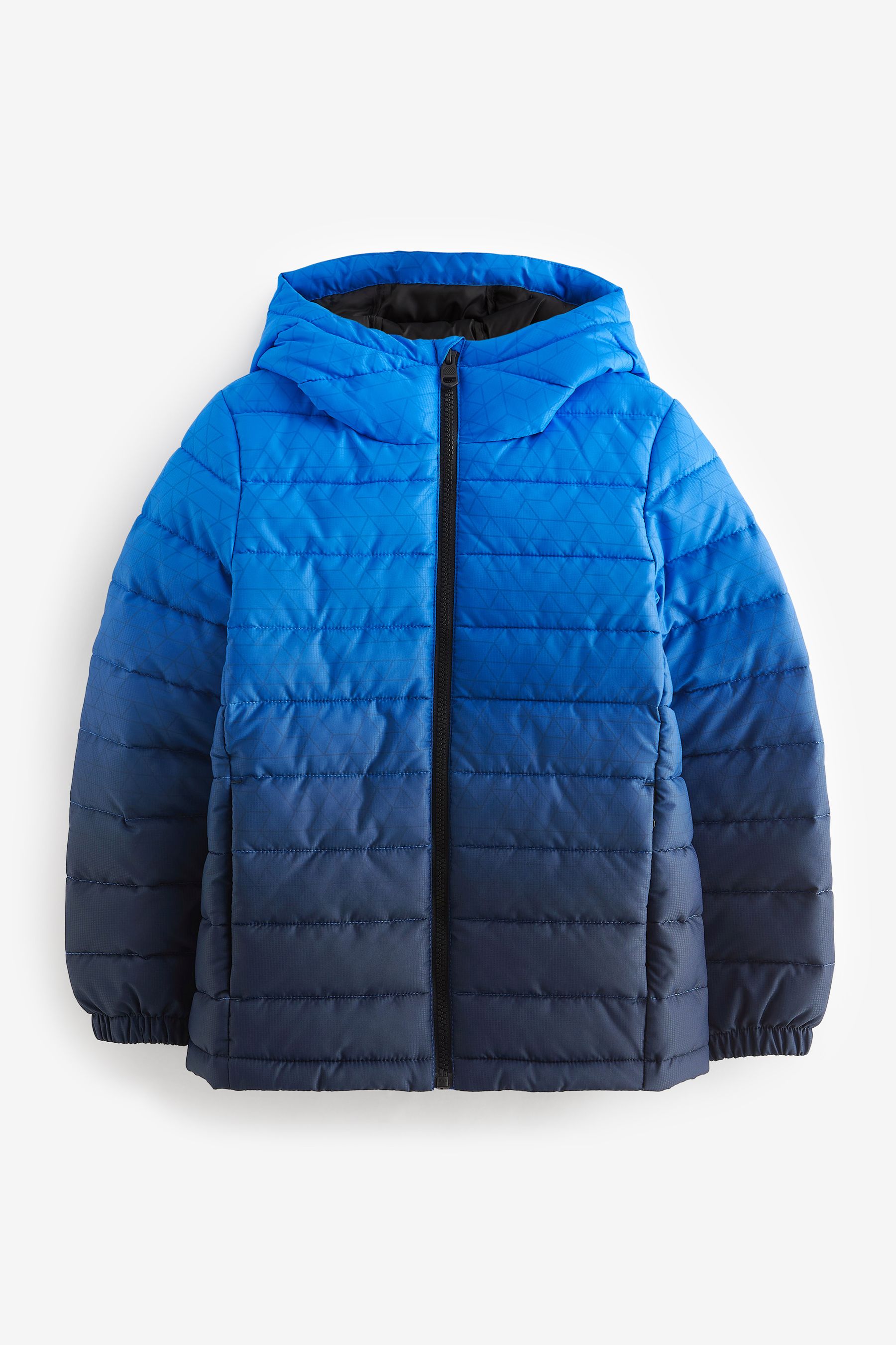 Buy Blue Print Quilted Midweight Hooded Jacket (3-17yrs) from Next Ireland