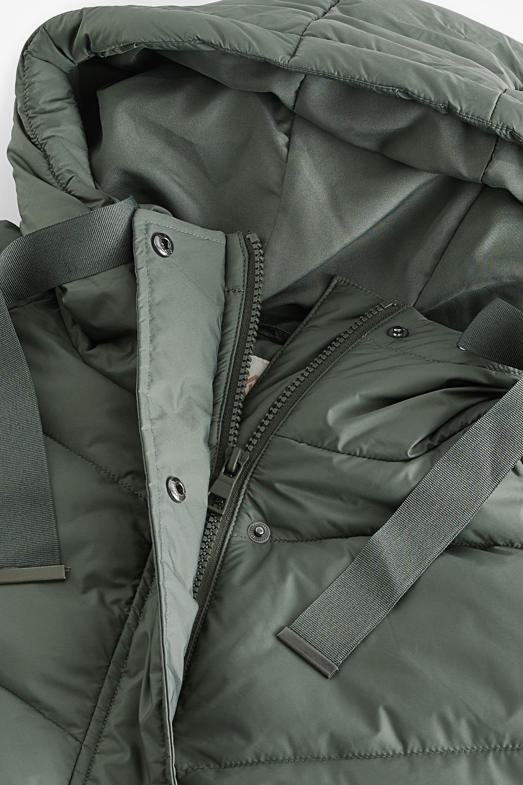 Buy Sage Green Lightweight Padded Jacket from Next USA