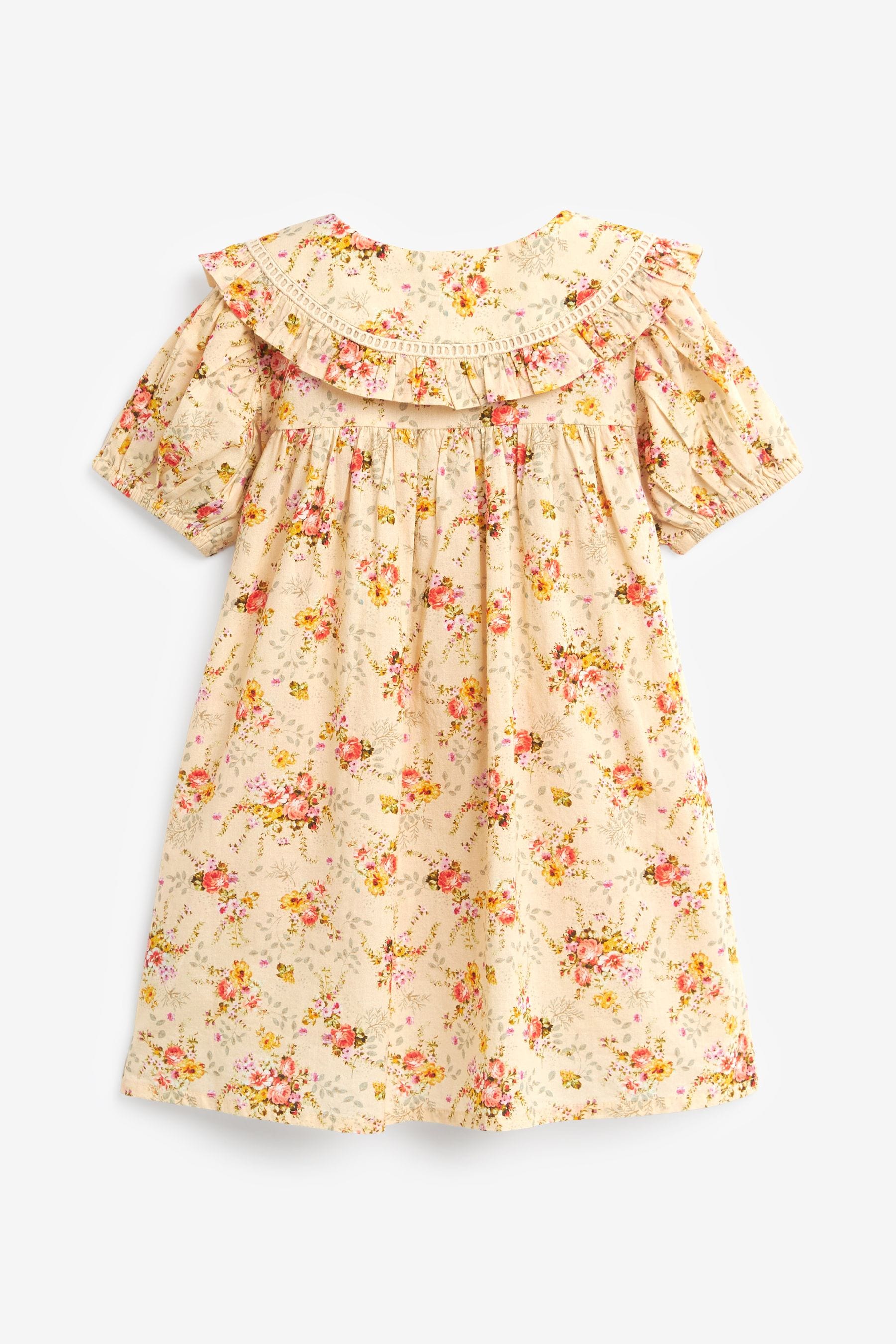 Buy Cream Floral Printed Collar Dress (3mths-10yrs) from Next Australia