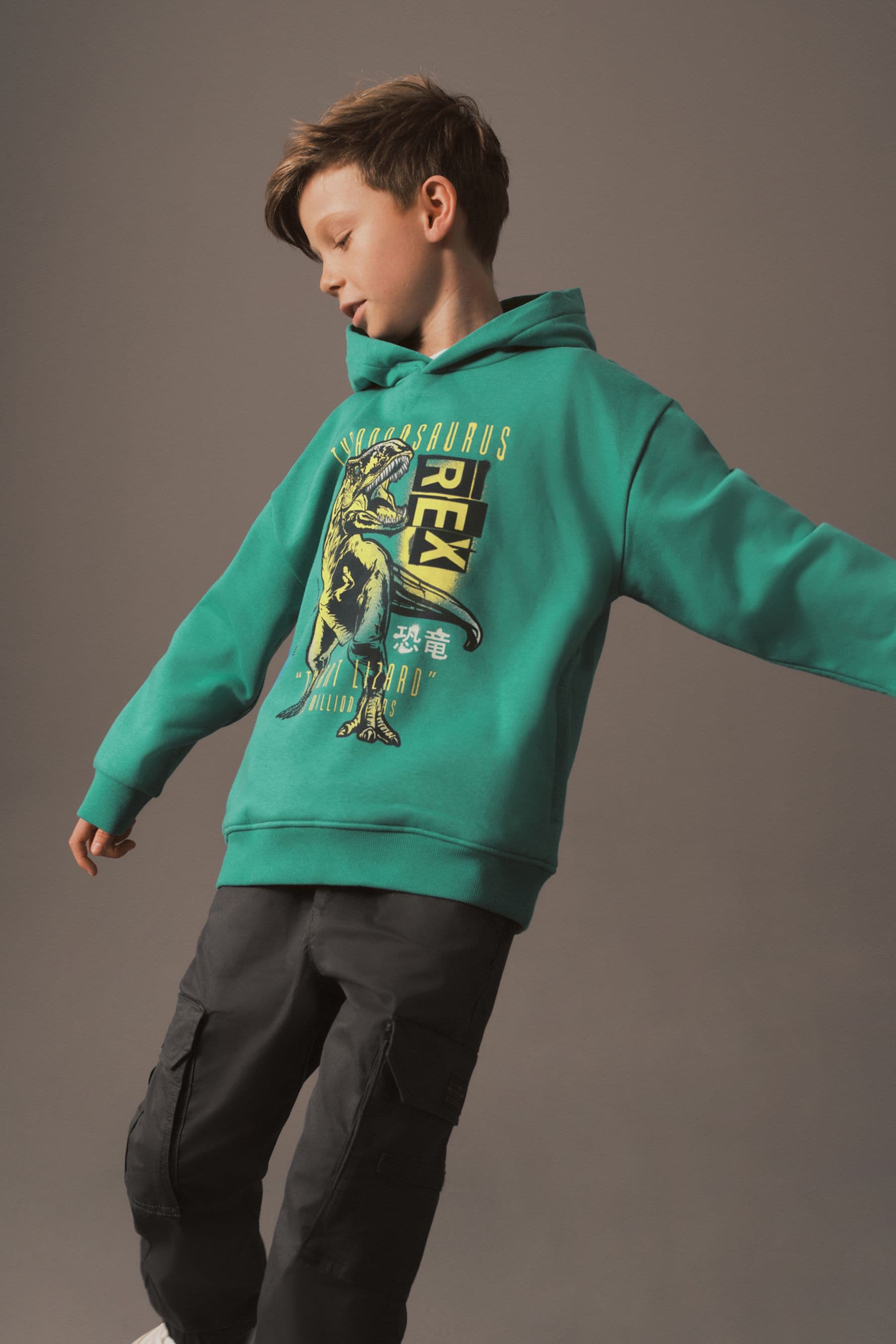 Dinosaur outlet hoodie next
