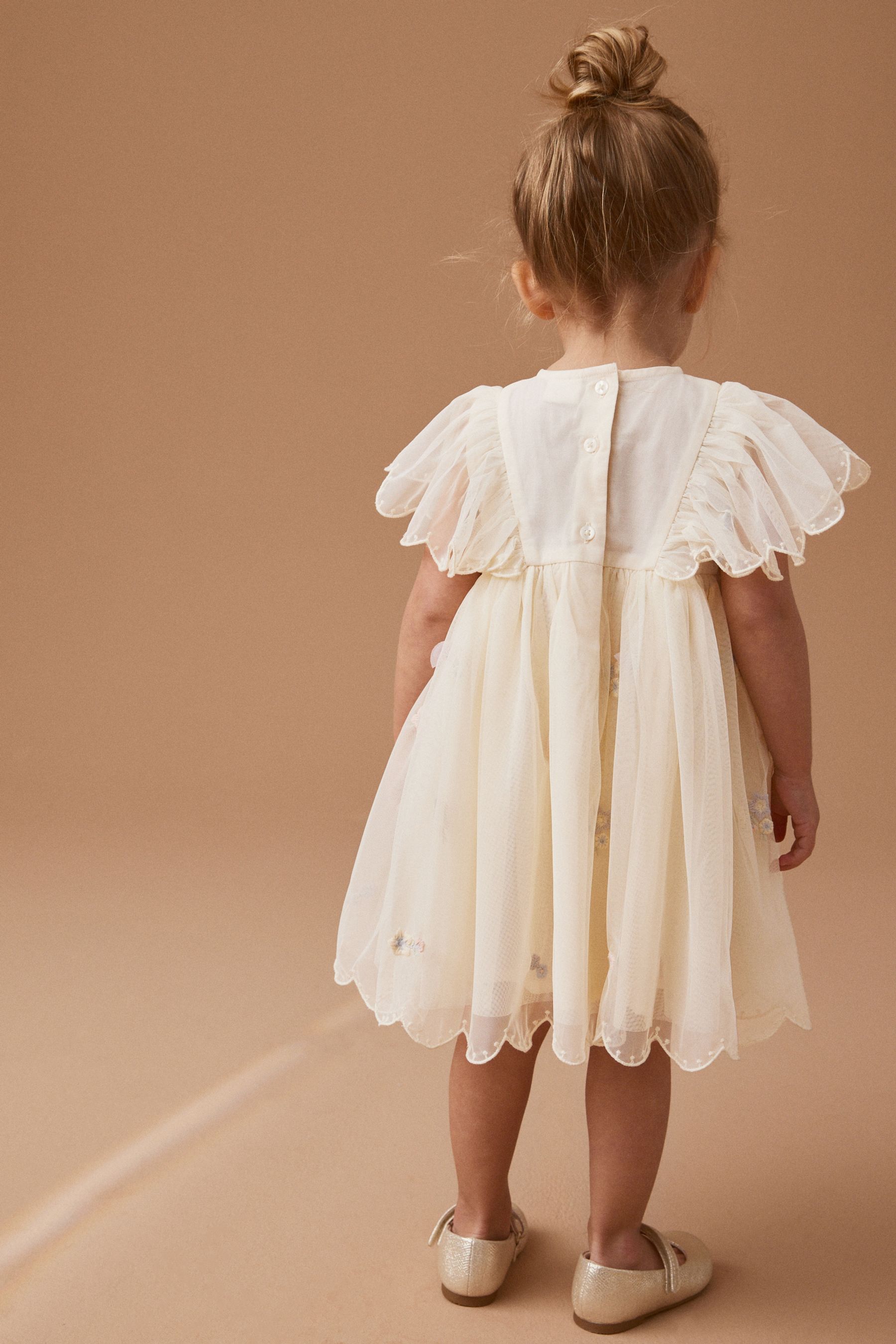 Buy Cream Embroidered Mesh Party Dress (3mths-7yrs) from Next Ukraine