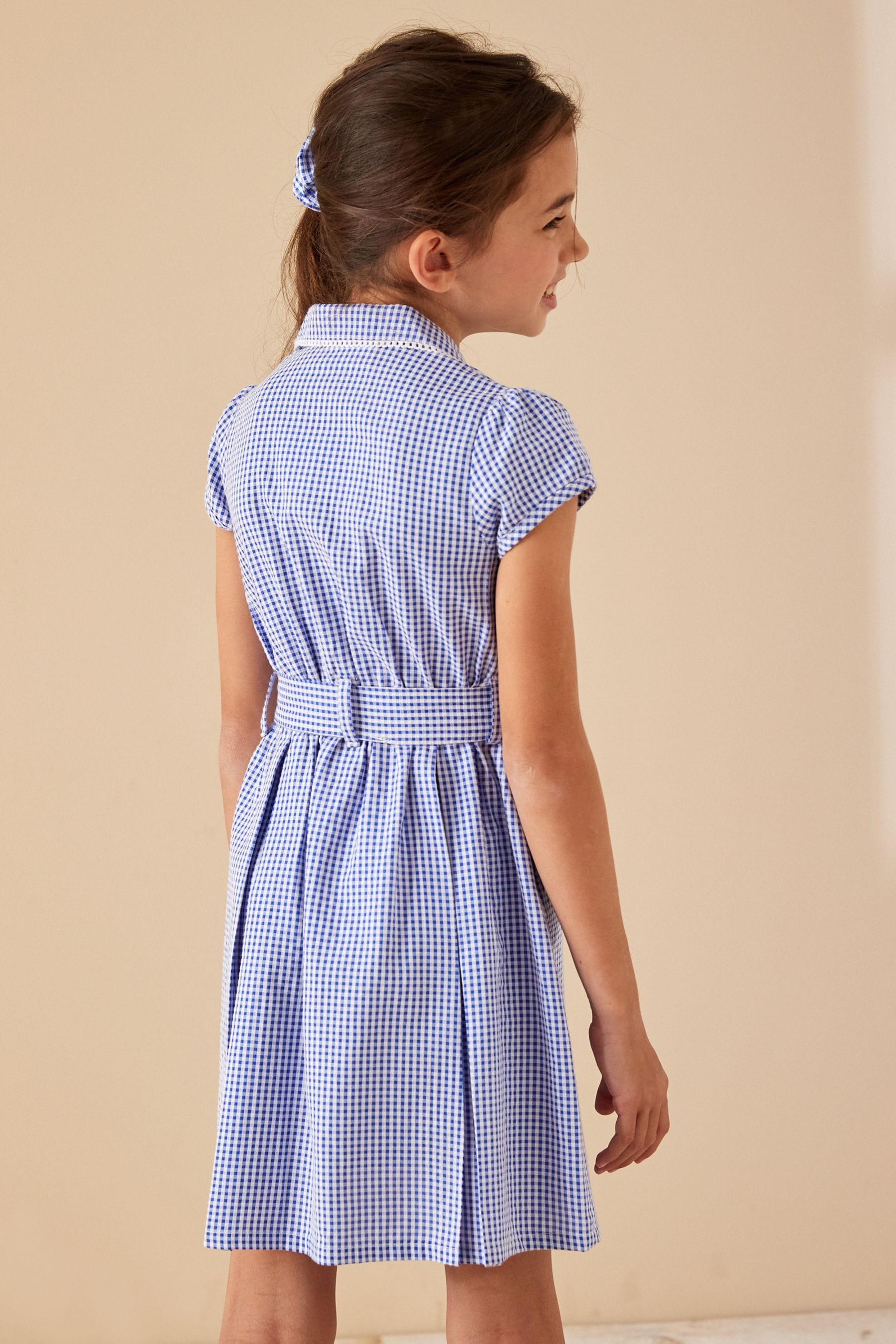 Girls blue gingham school dress 2025