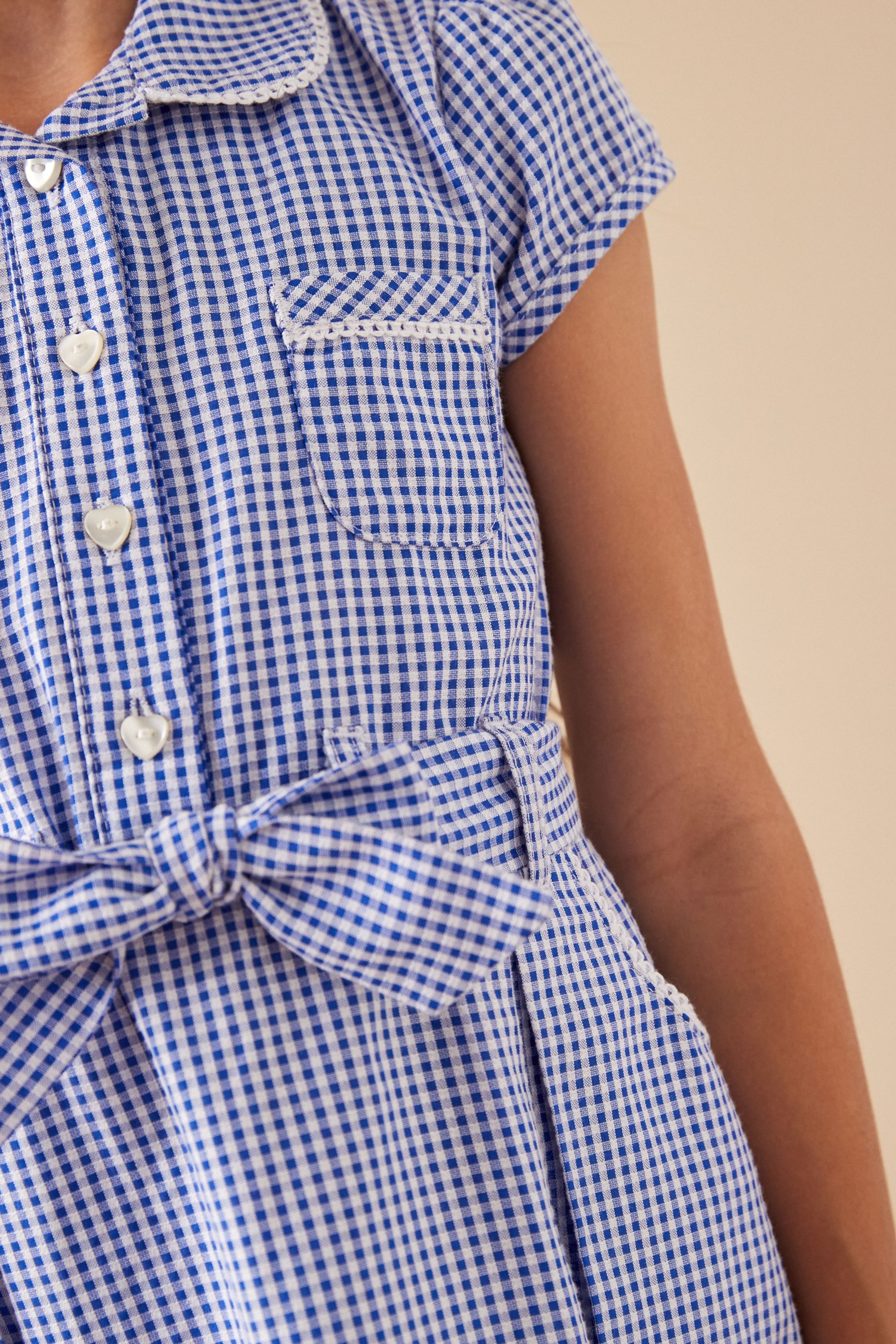 Next gingham school cheap dress